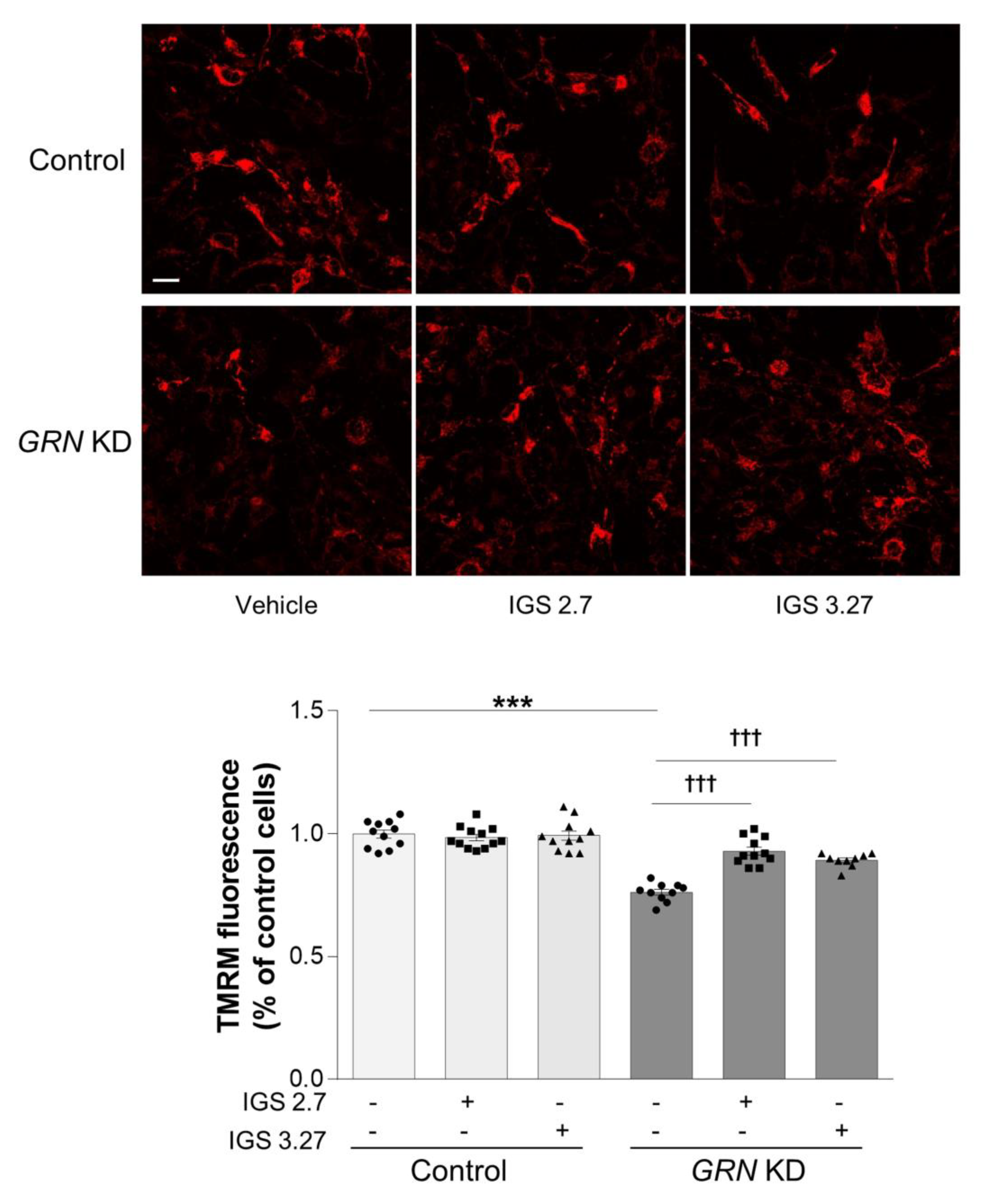Antioxidants 12 00581 g005 Antioxidants 12 00581 g005
