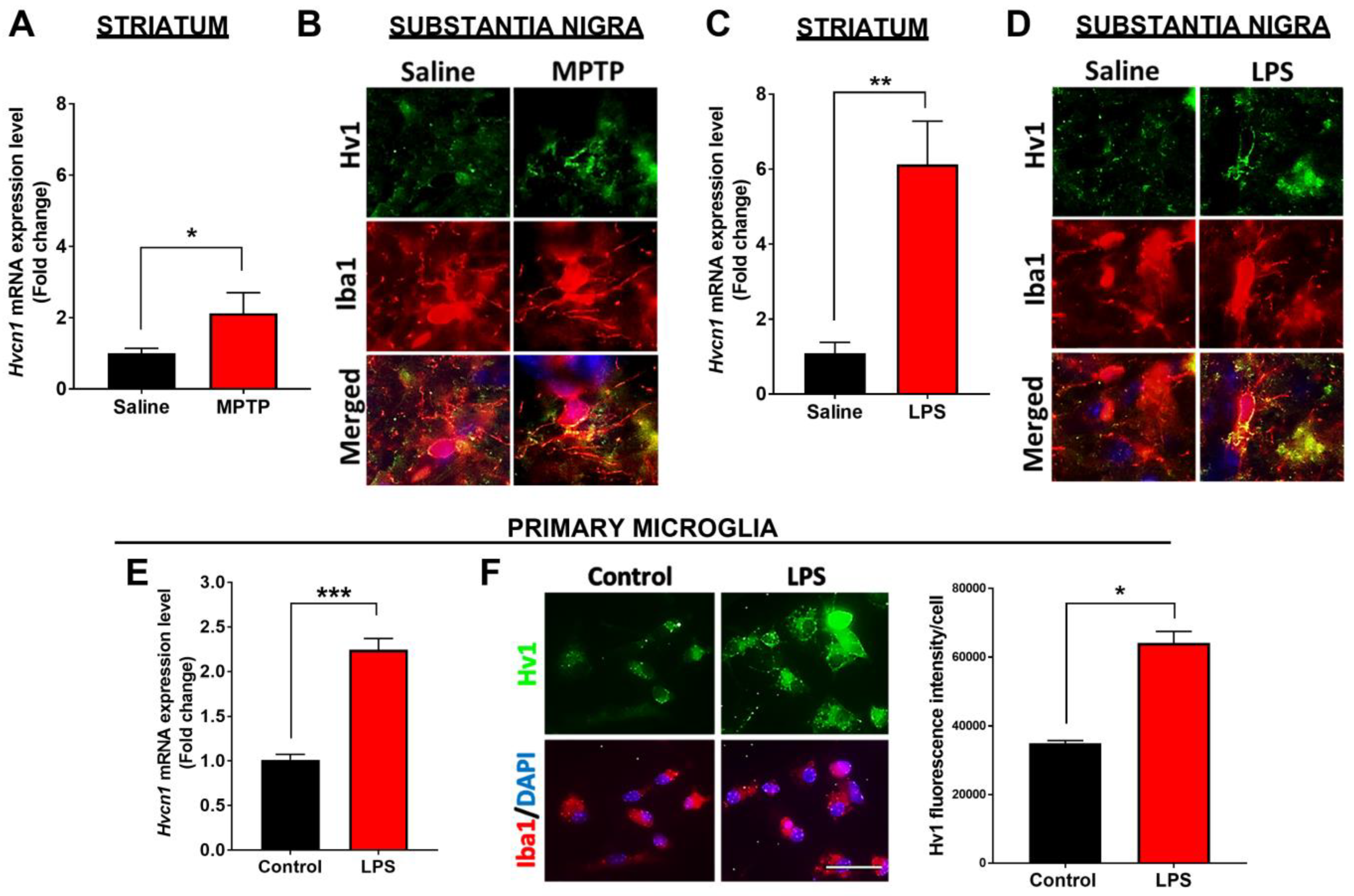 Antioxidants 12 00582 g002 Antioxidants 12 00582 g002