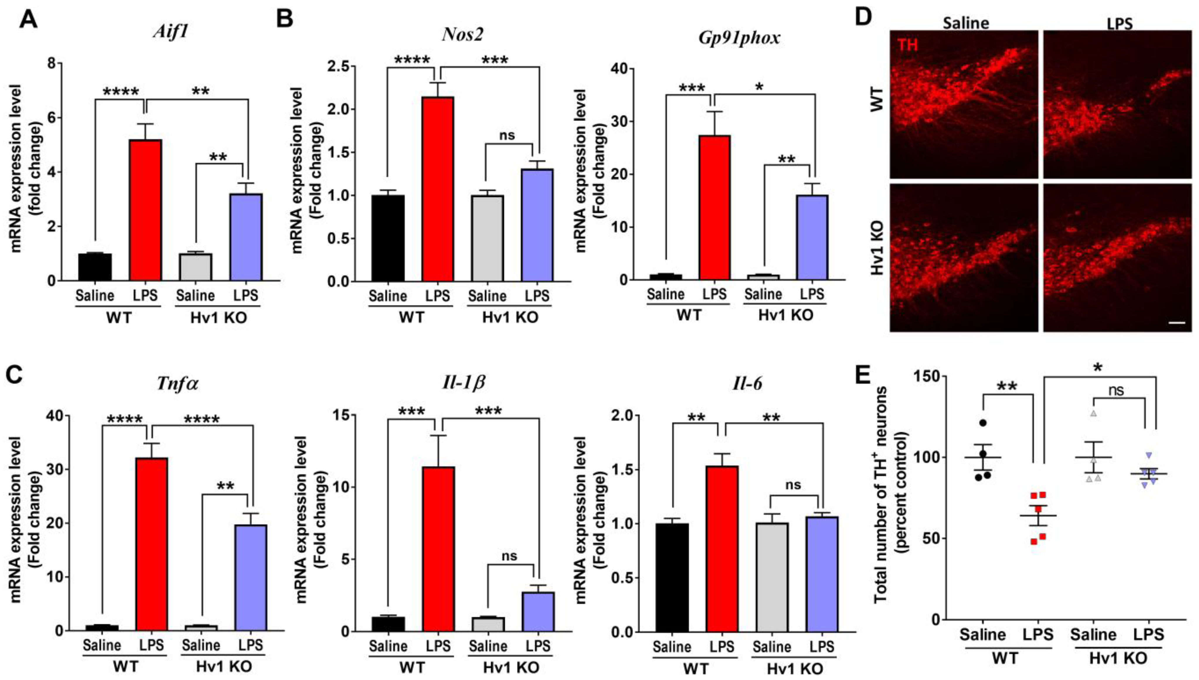 Antioxidants 12 00582 g006 Antioxidants 12 00582 g006