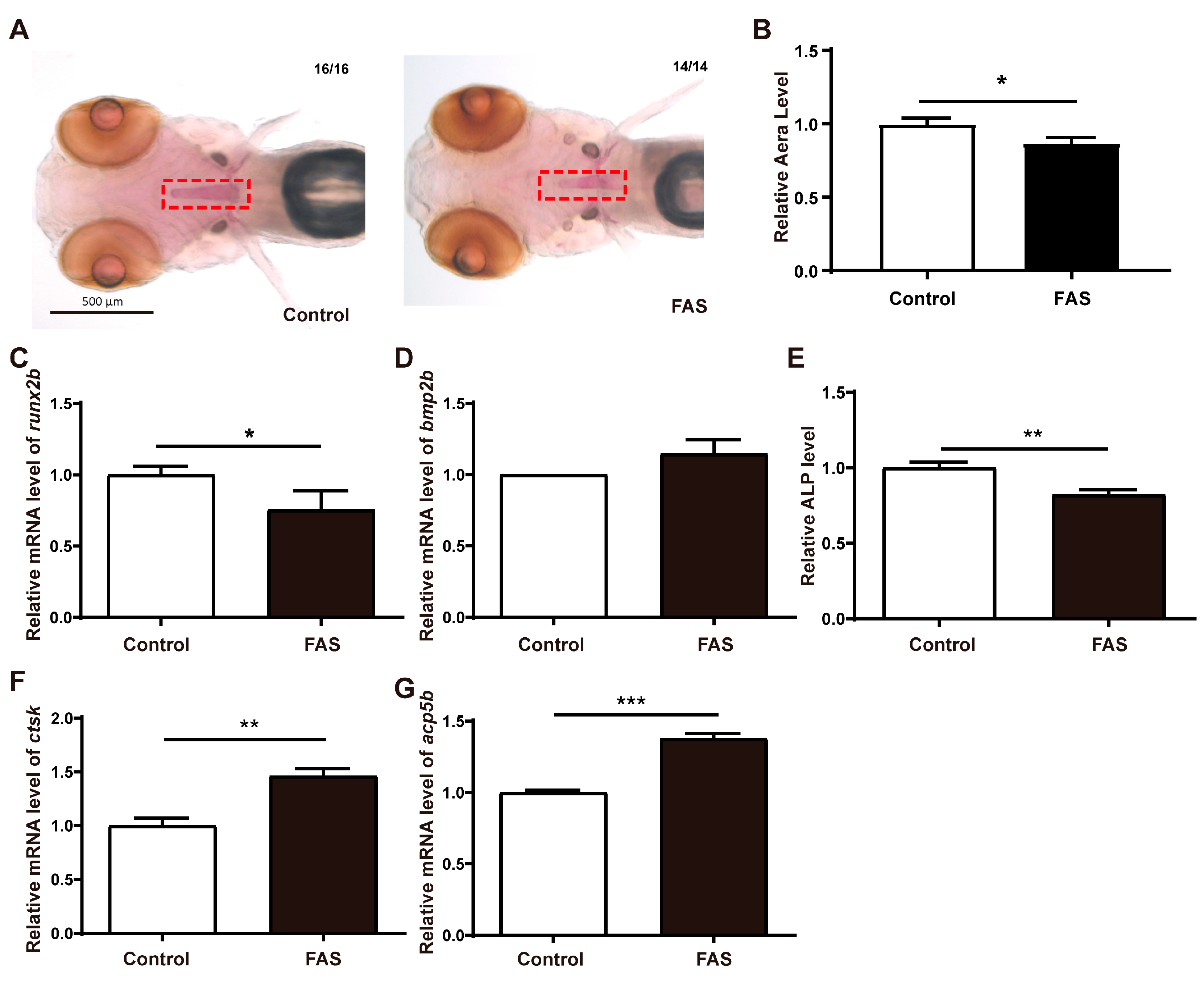 Antioxidants 12 00583 g001 Antioxidants 12 00583 g001