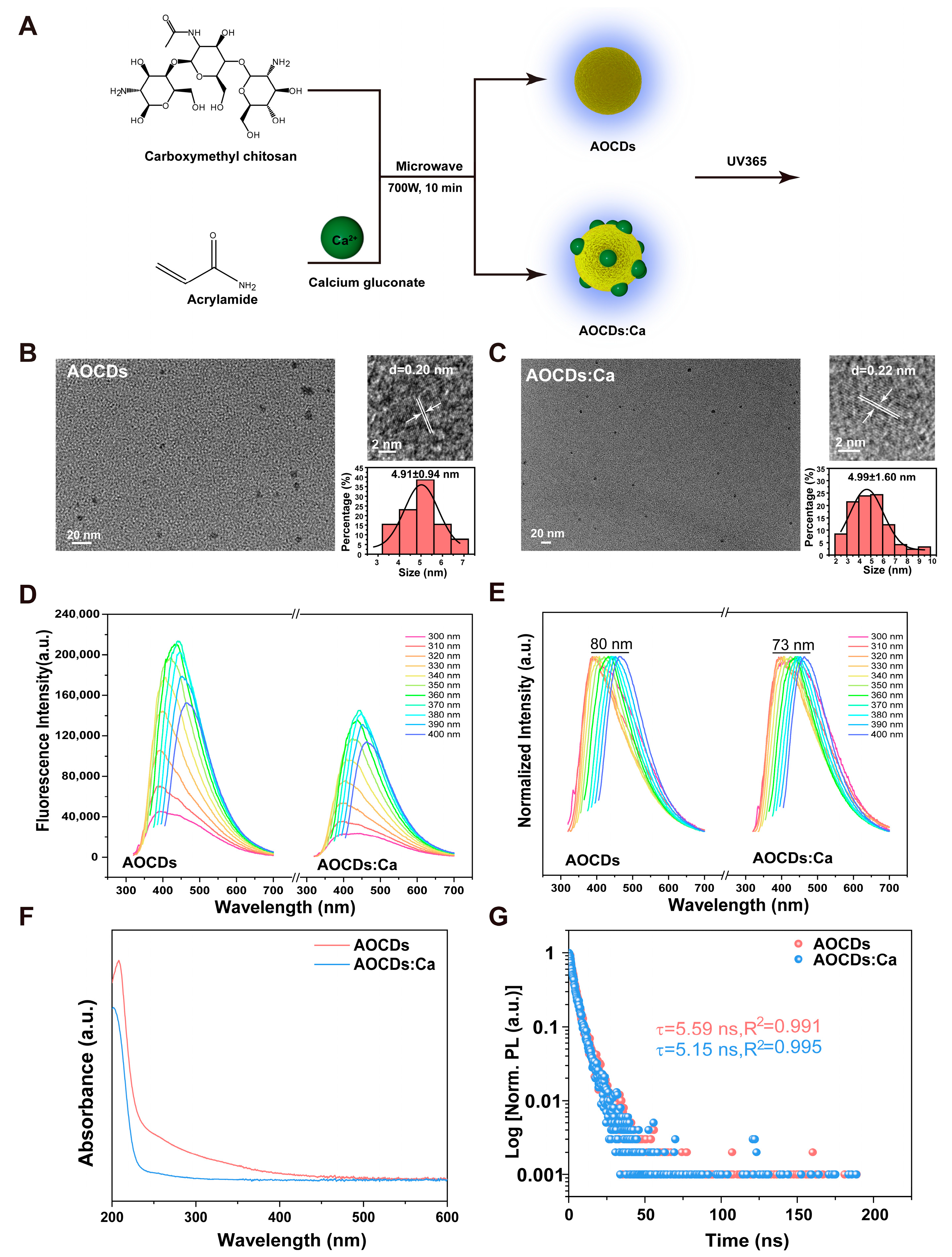 Antioxidants 12 00583 g002 Antioxidants 12 00583 g002