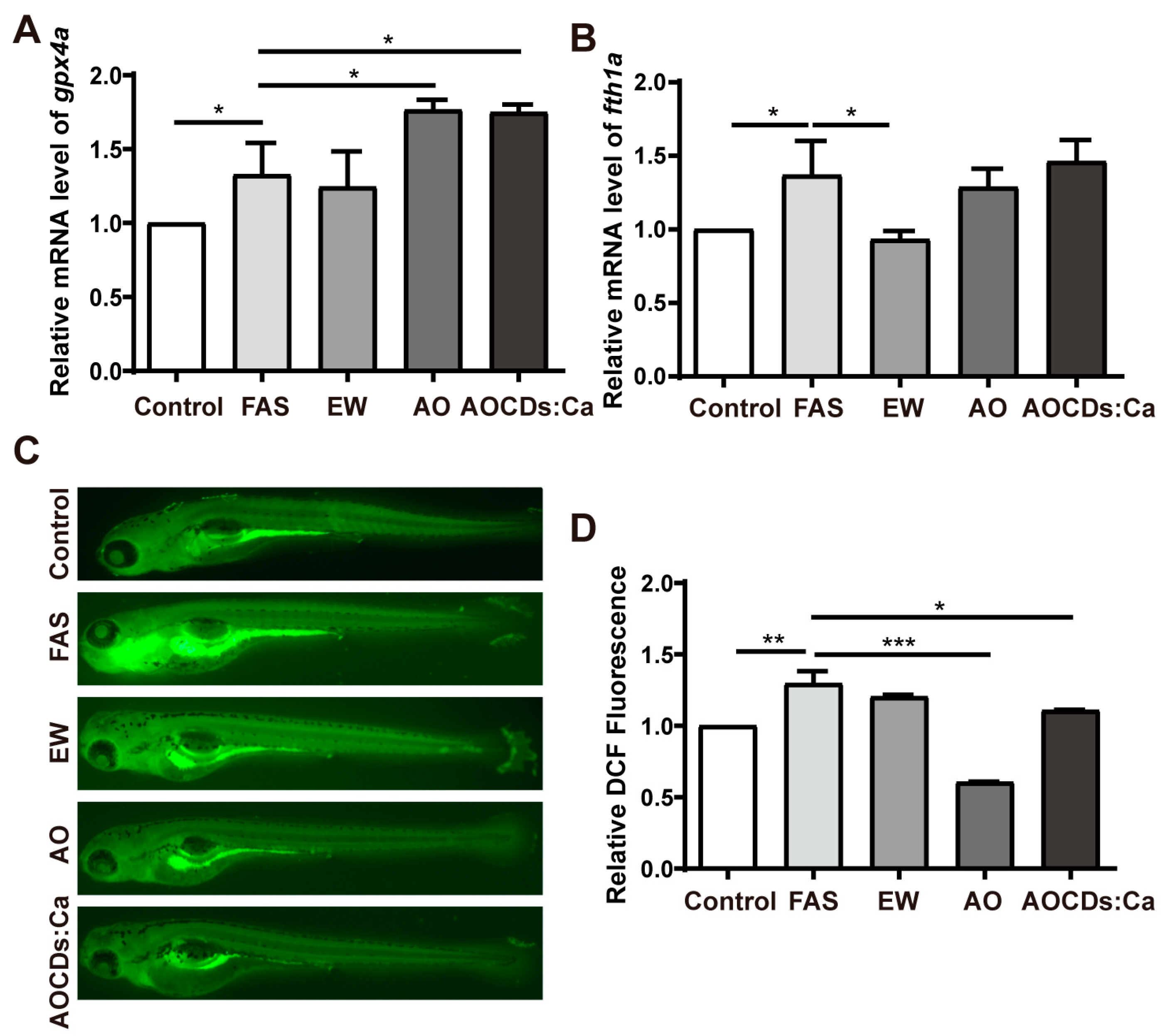 Antioxidants 12 00583 g004 Antioxidants 12 00583 g004