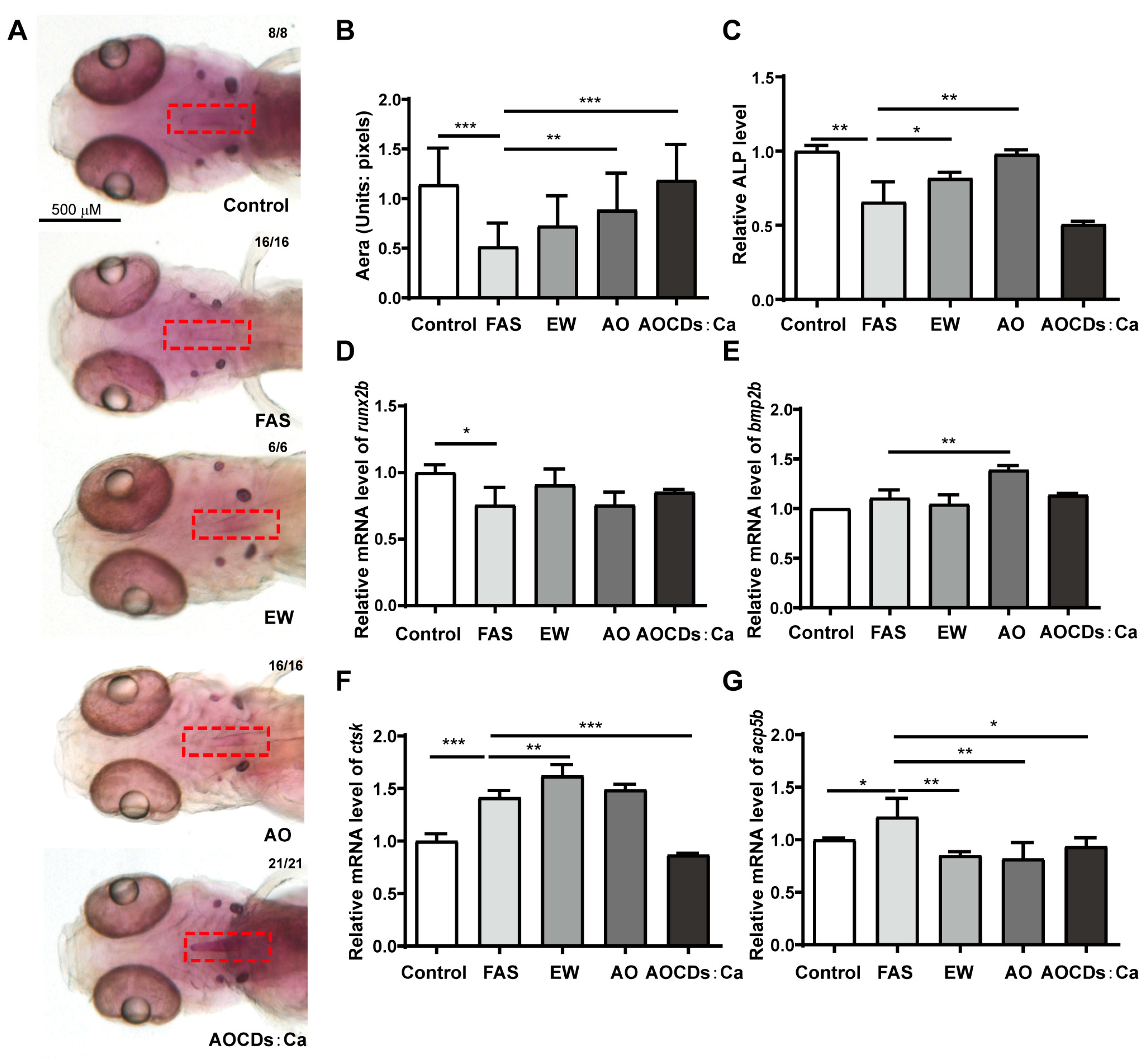 Antioxidants 12 00583 g005 Antioxidants 12 00583 g005