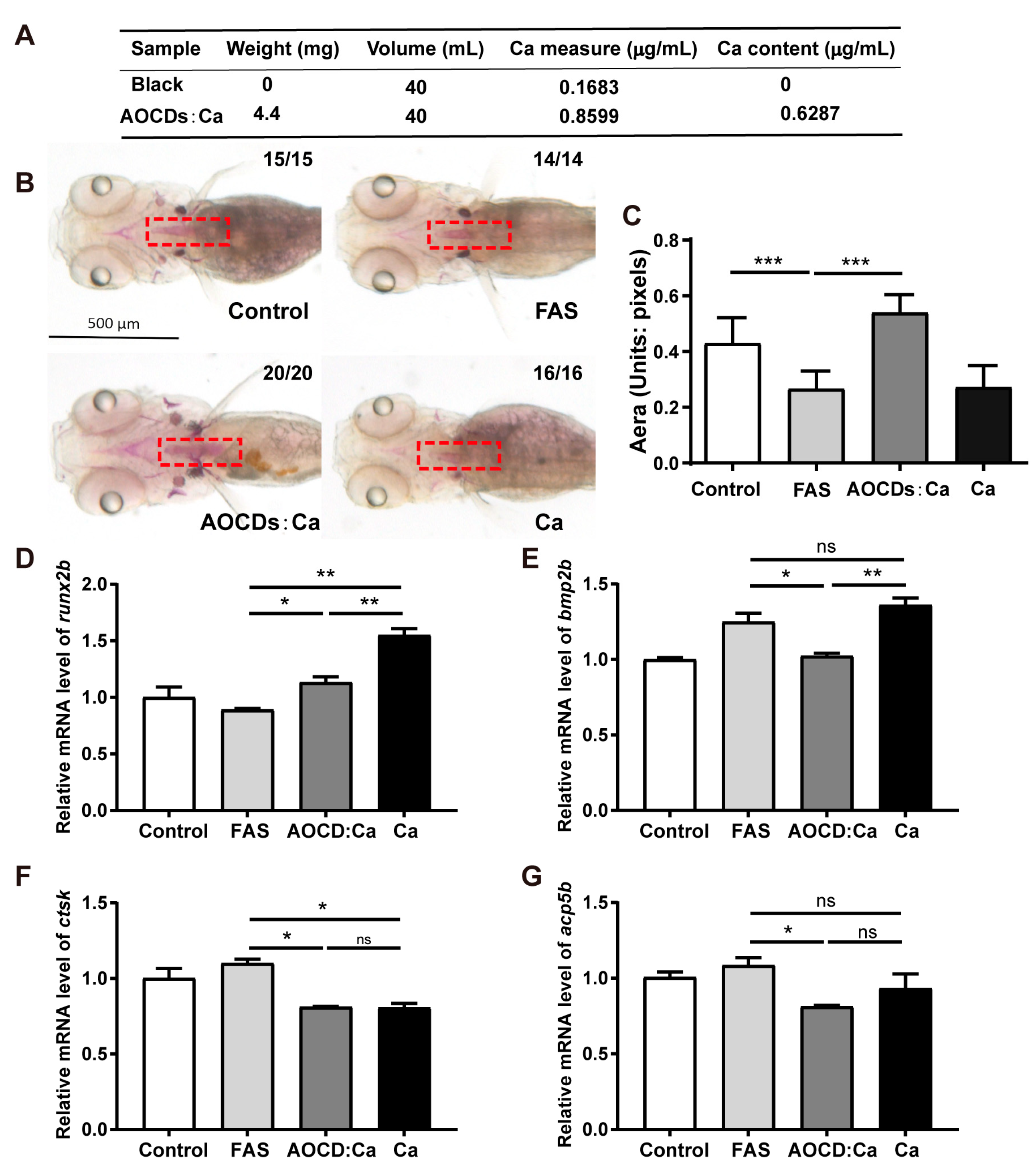 Antioxidants 12 00583 g006 Antioxidants 12 00583 g006