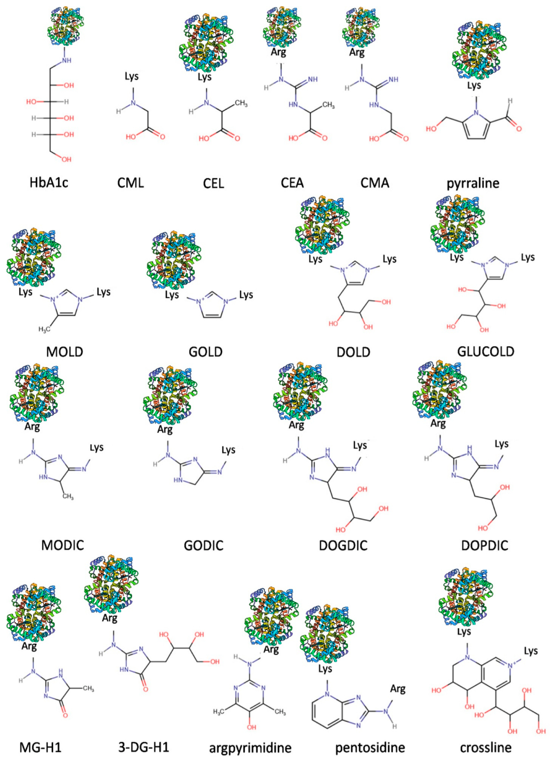 Antioxidants 12 00584 g001 Antioxidants 12 00584 g001
