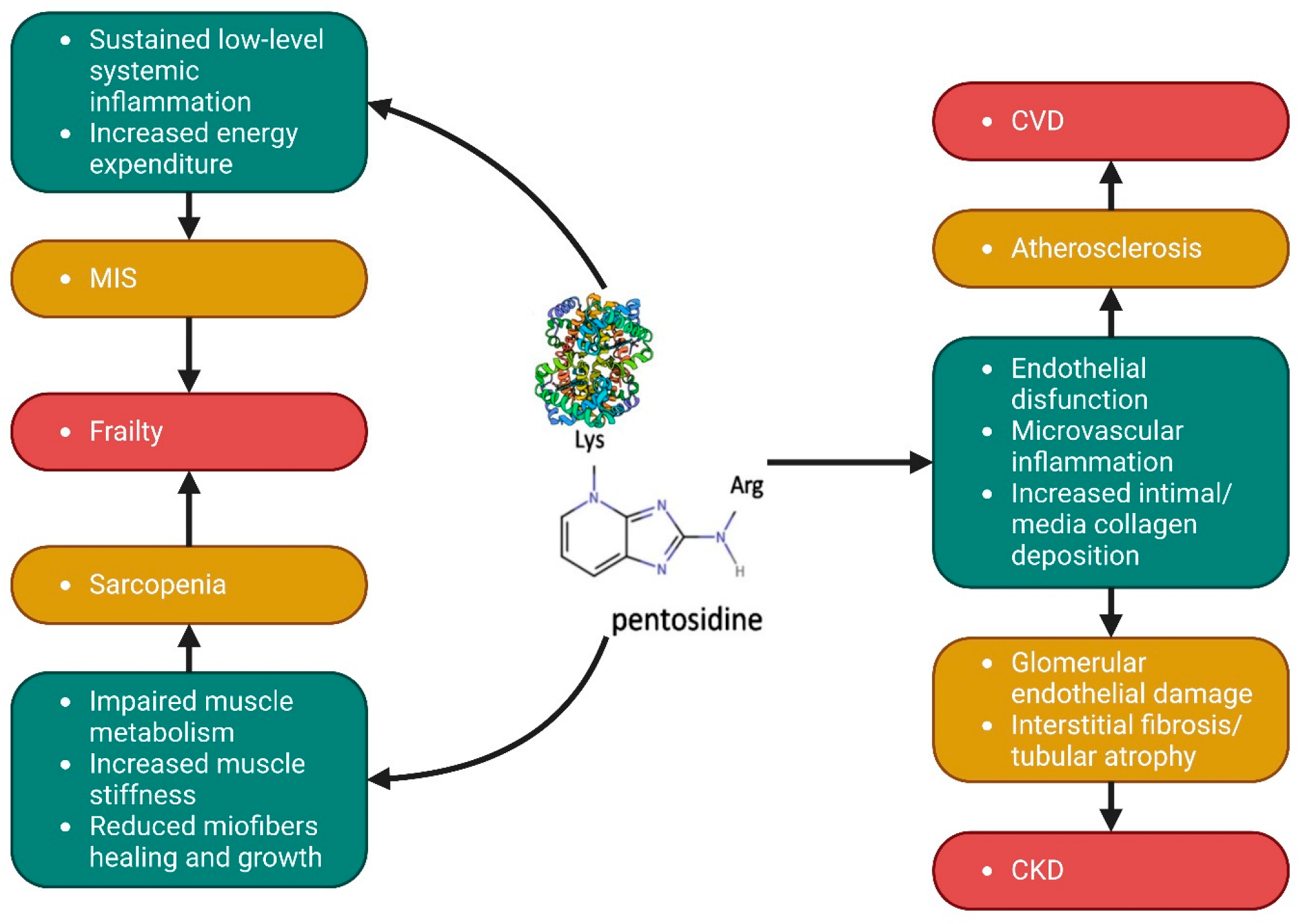 Antioxidants 12 00584 g003 Antioxidants 12 00584 g003