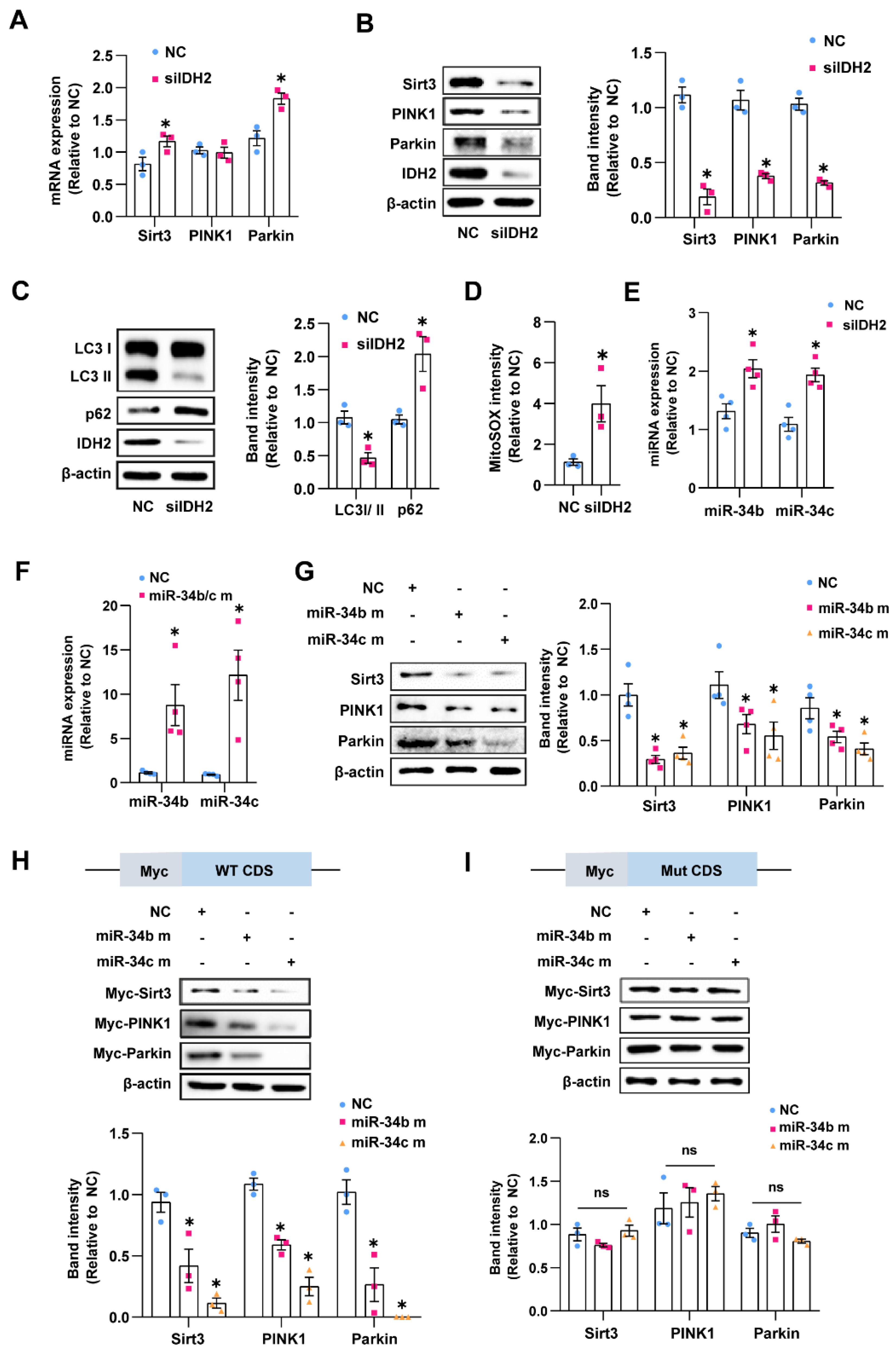 Antioxidants 12 00585 g002 Antioxidants 12 00585 g002