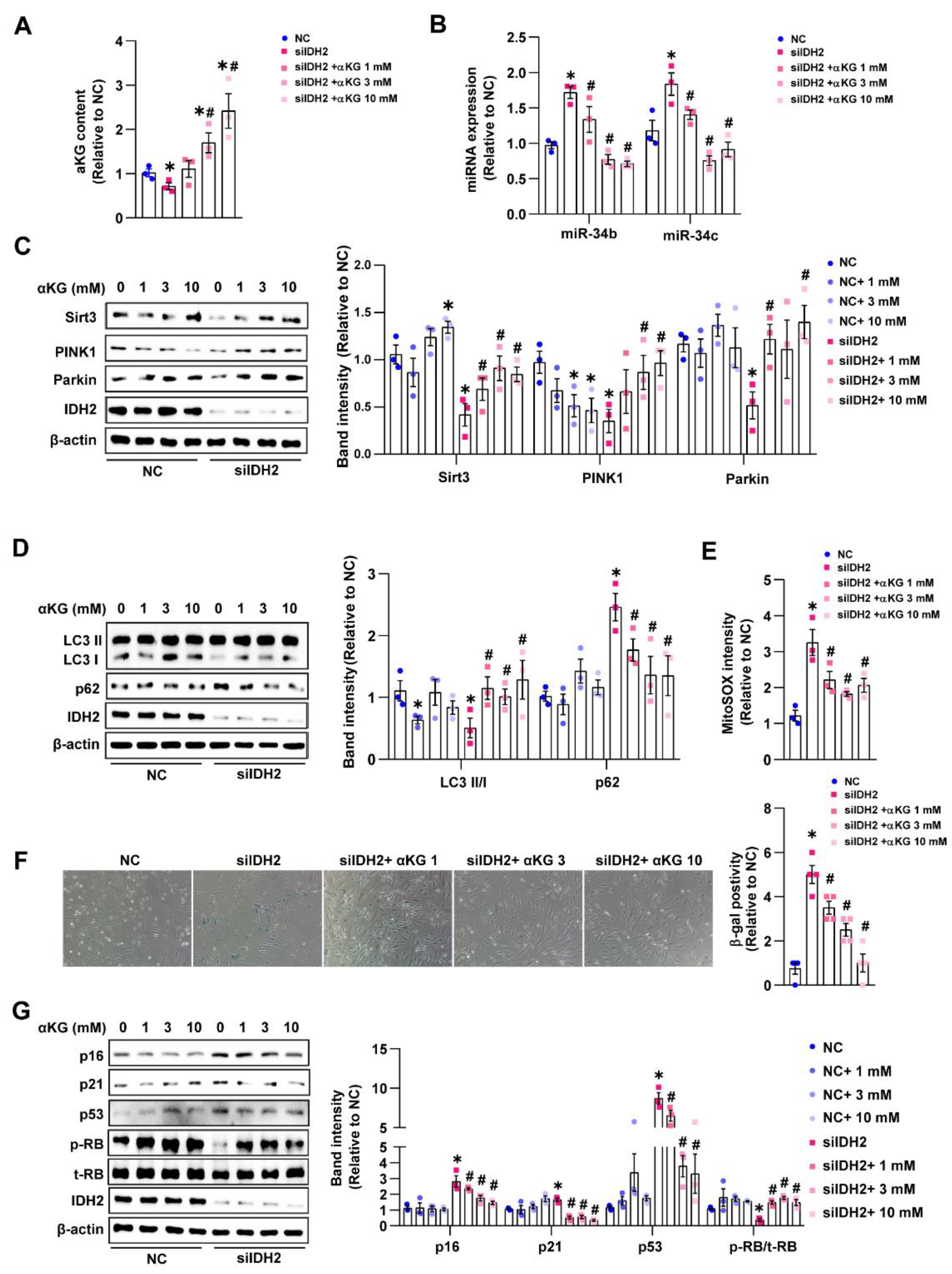 Antioxidants 12 00585 g004 Antioxidants 12 00585 g004