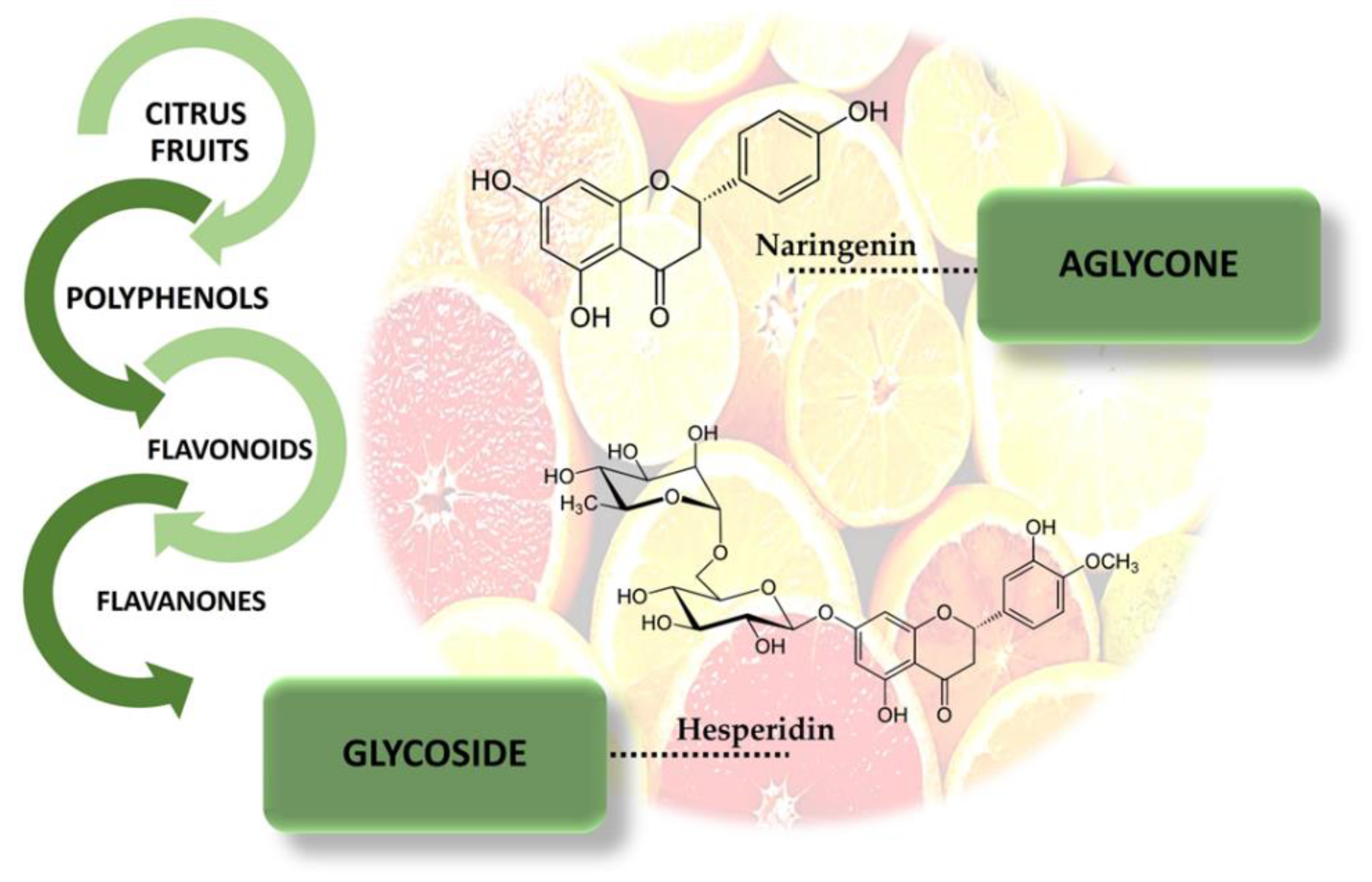 Antioxidants 12 00586 g001 Antioxidants 12 00586 g001