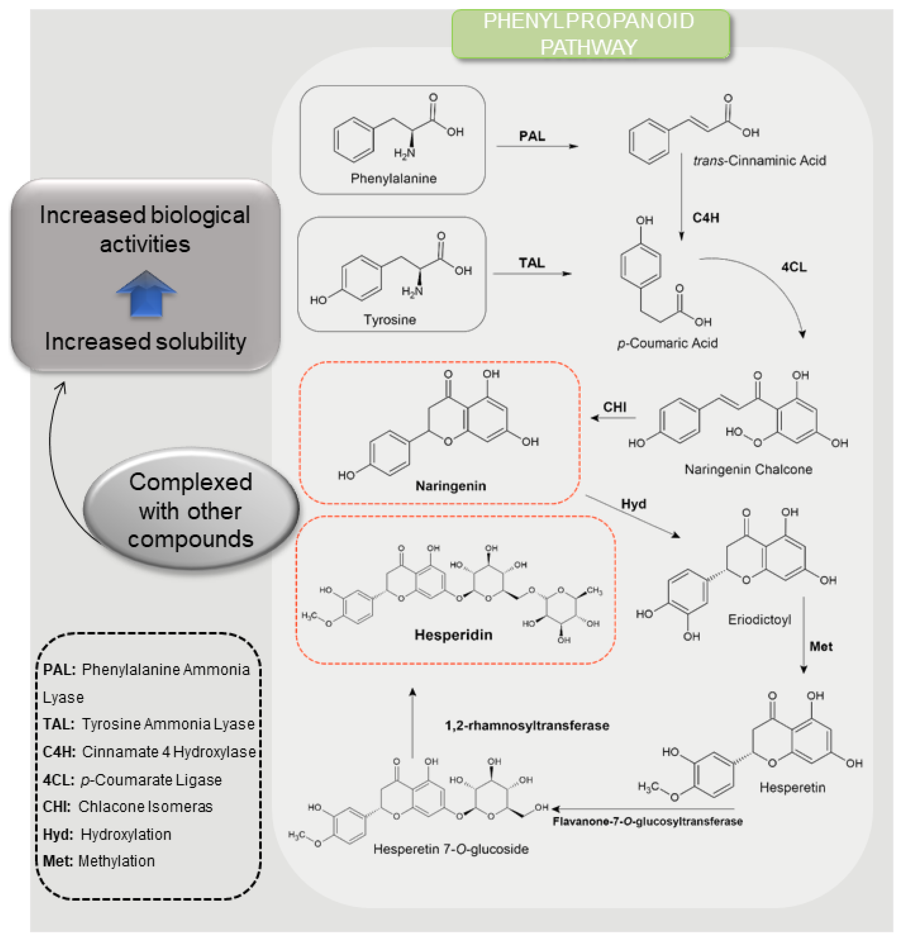 Antioxidants 12 00586 g002 Antioxidants 12 00586 g002