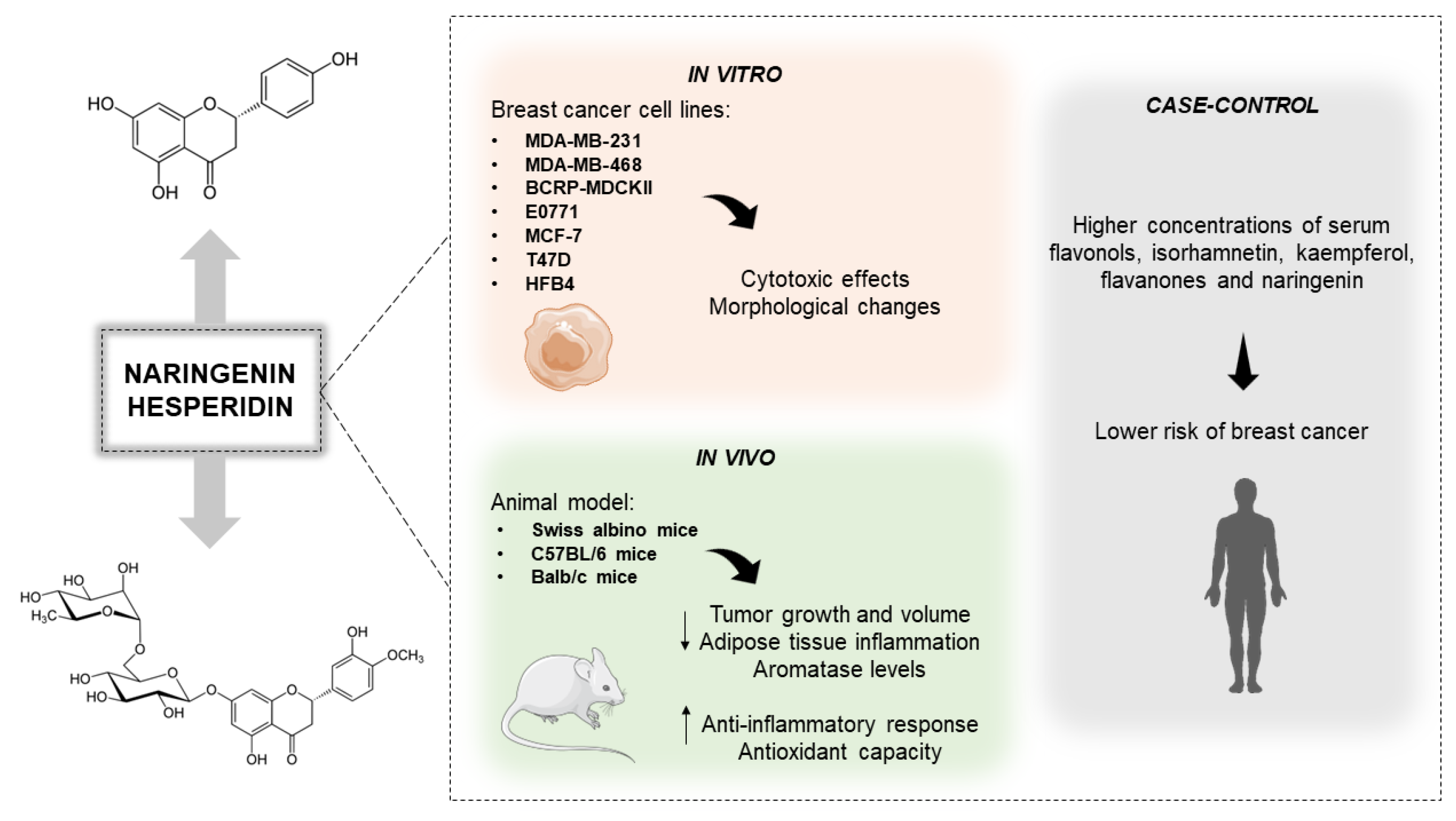 Antioxidants 12 00586 g003 Antioxidants 12 00586 g003
