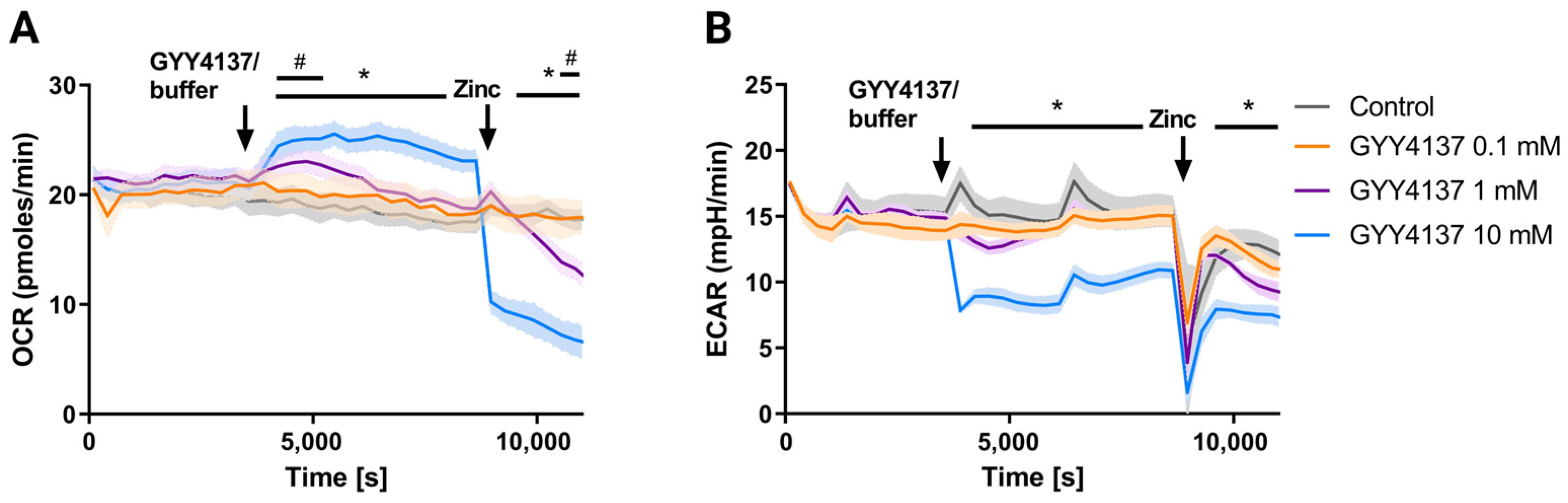 Antioxidants 12 00587 g002 Antioxidants 12 00587 g002
