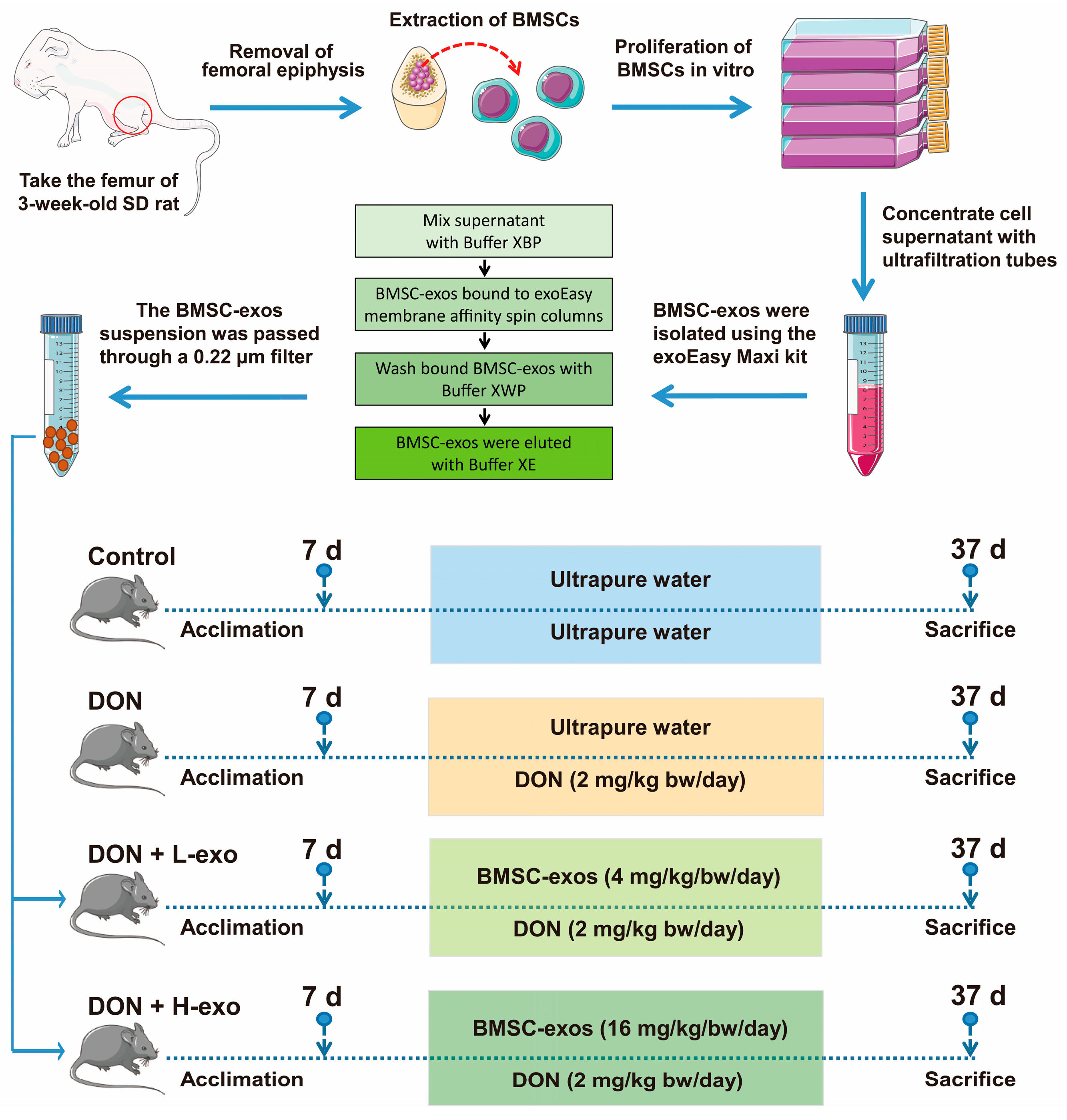Antioxidants 12 00588 g001
