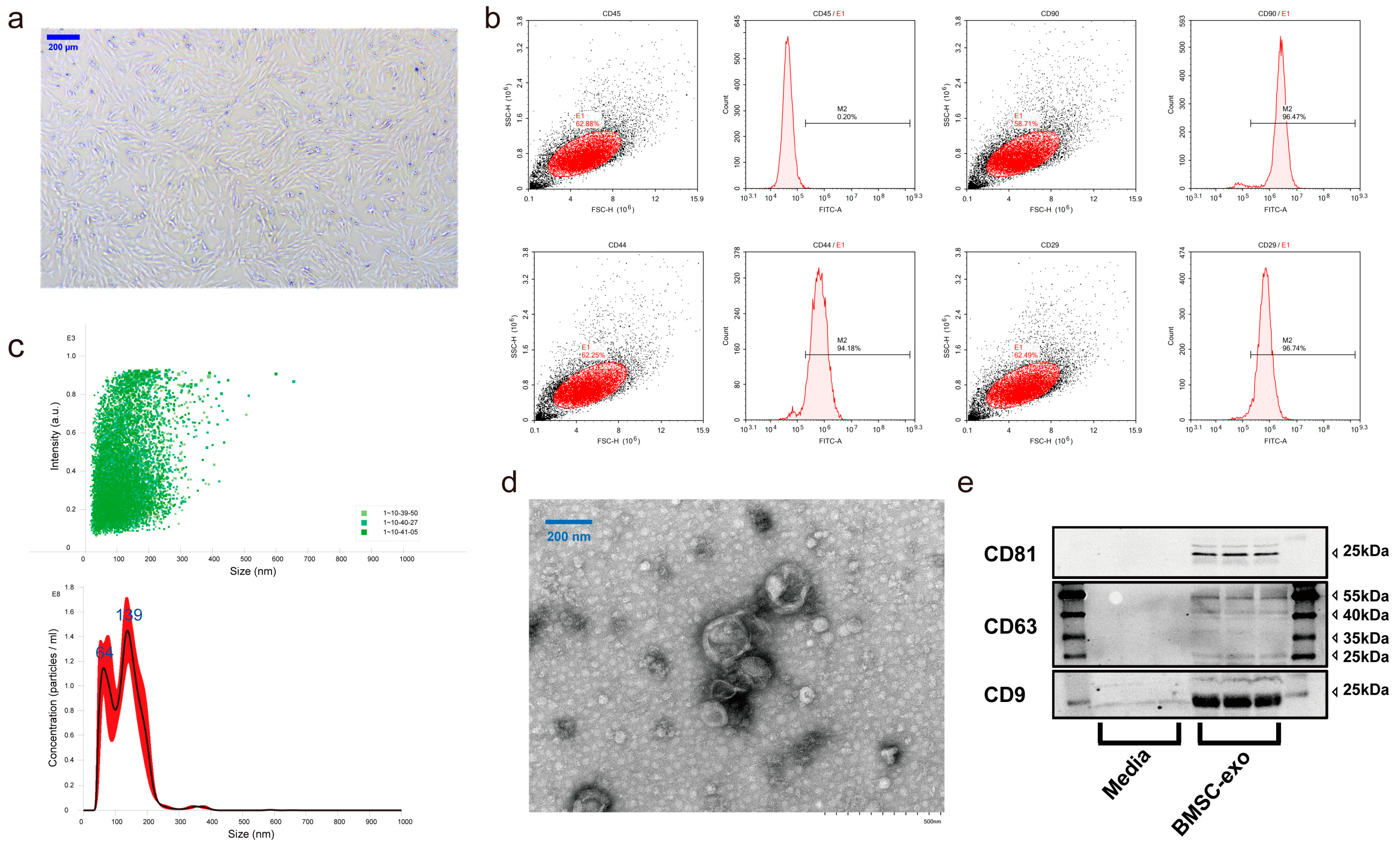 Antioxidants 12 00588 g002