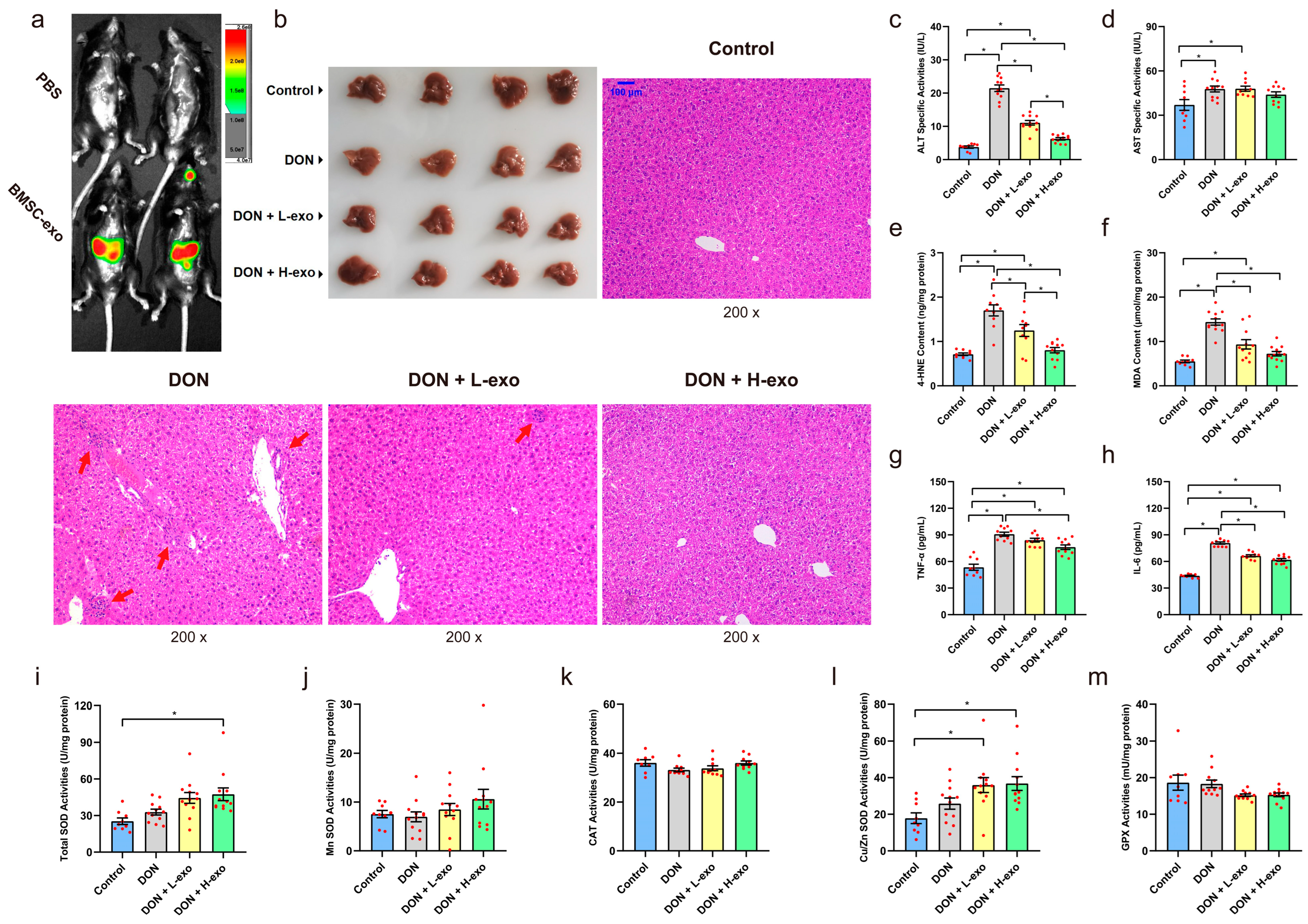 Antioxidants 12 00588 g004