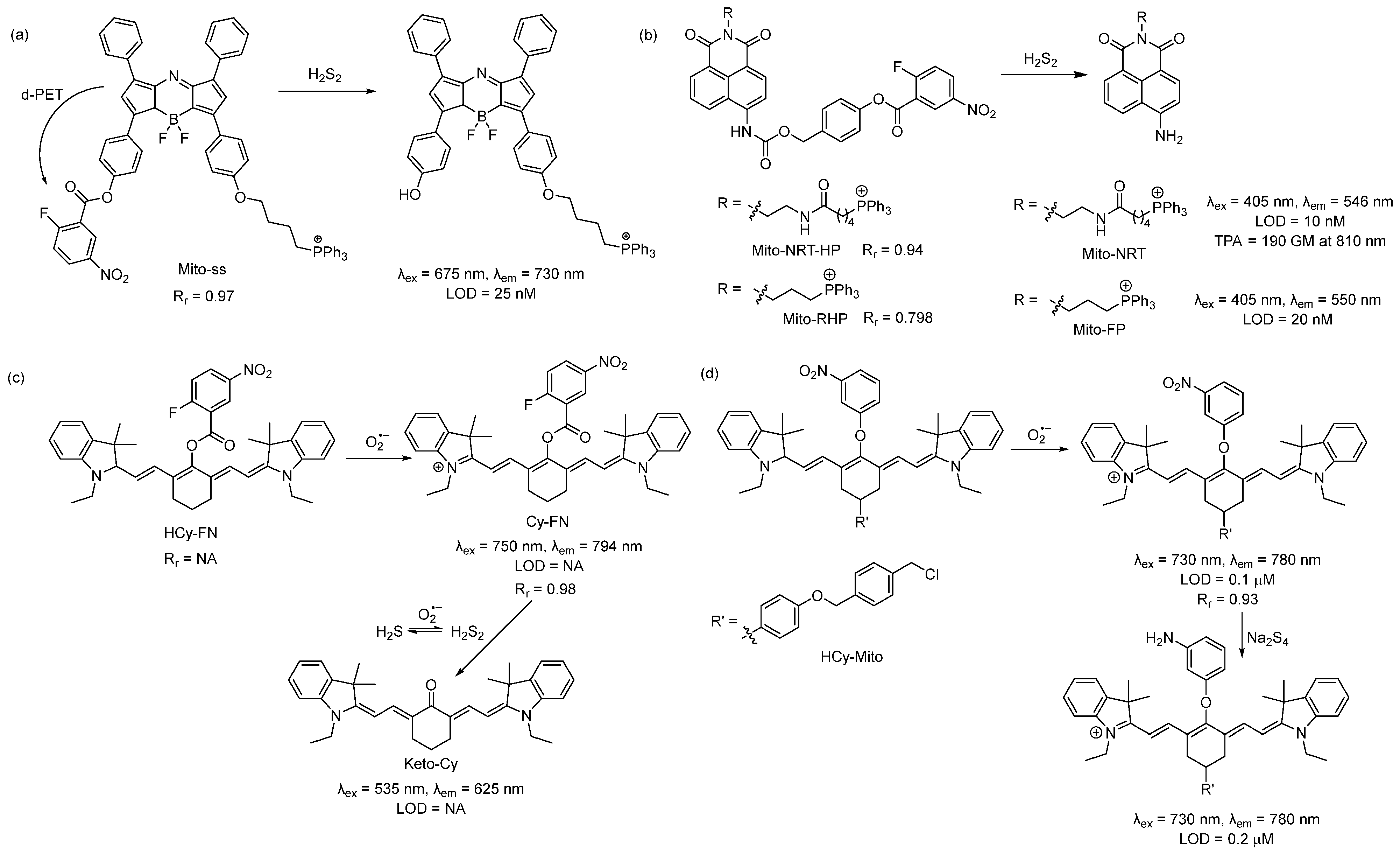 Antioxidants 12 00590 sch001 Antioxidants 12 00590 sch001