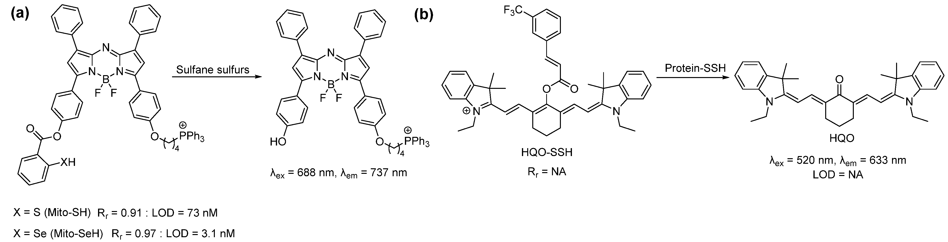 Antioxidants 12 00590 sch003 Antioxidants 12 00590 sch003