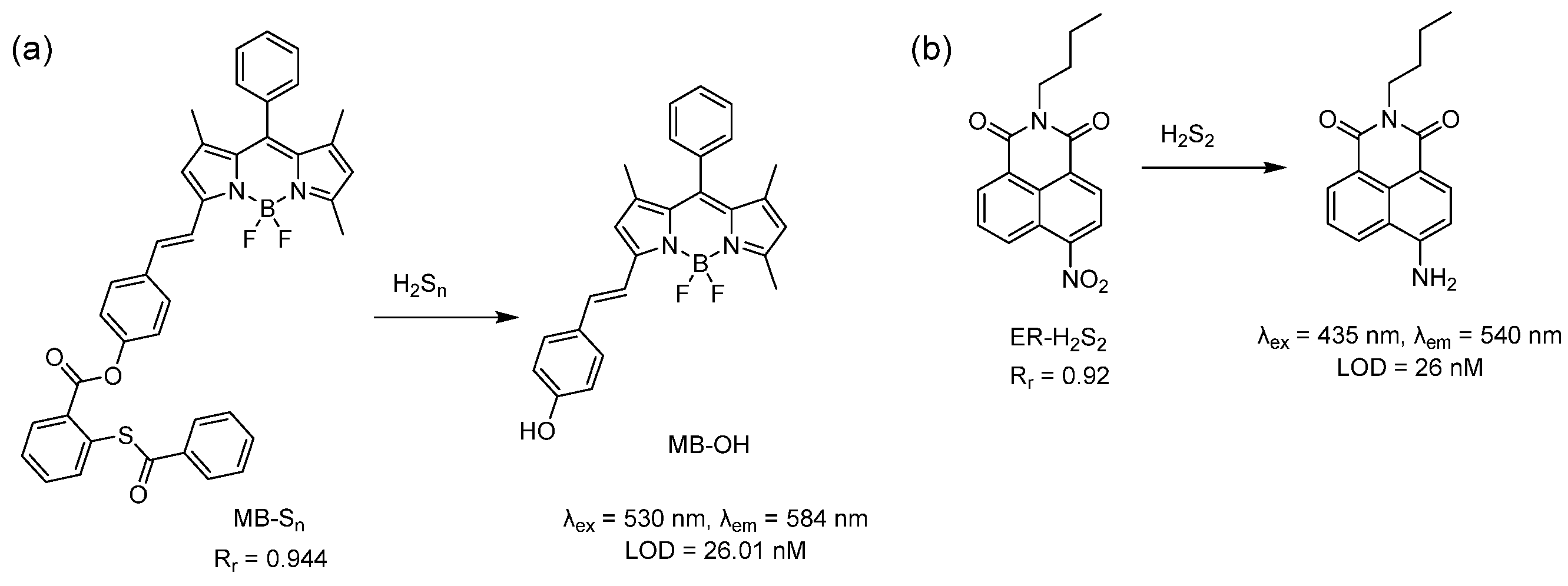 Antioxidants 12 00590 sch005 Antioxidants 12 00590 sch005