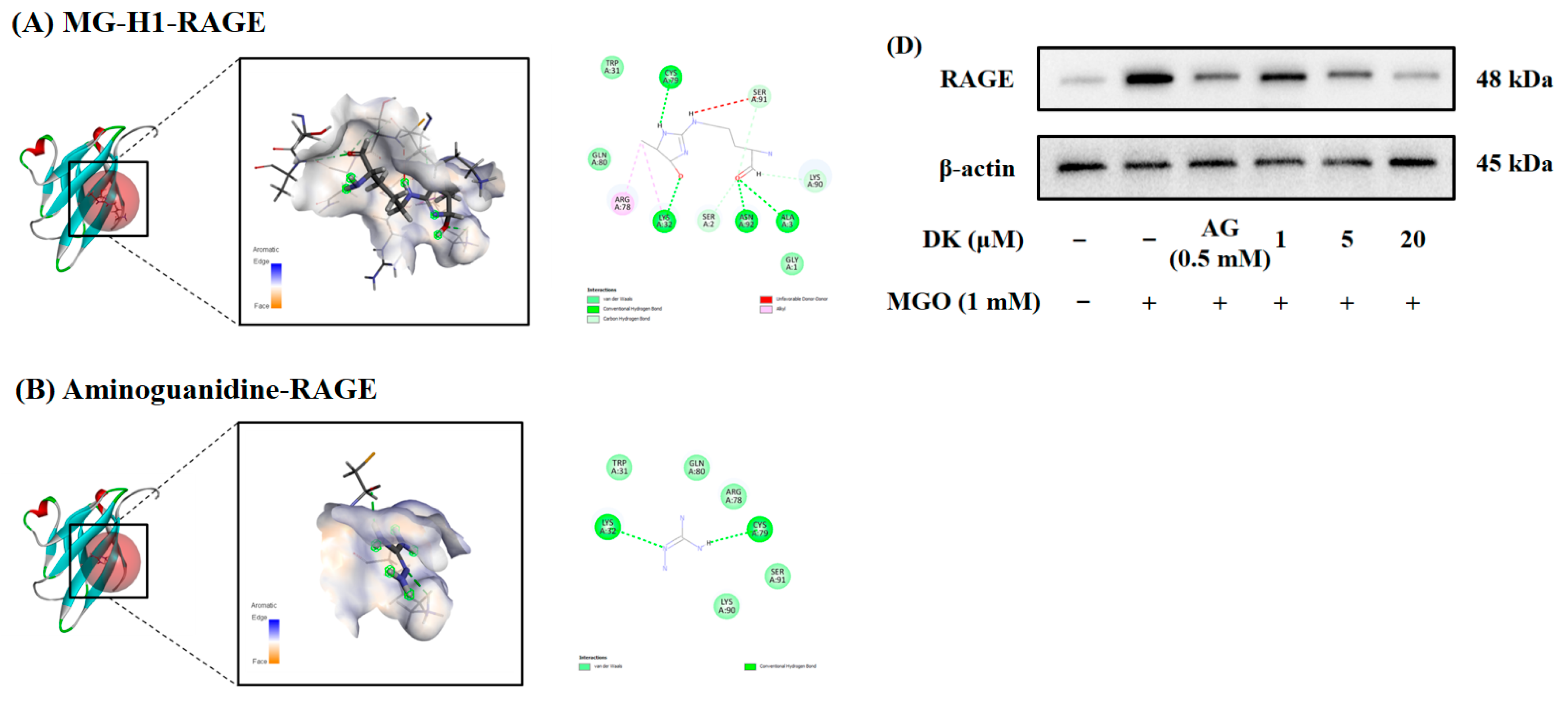 Antioxidants 12 00593 g003a