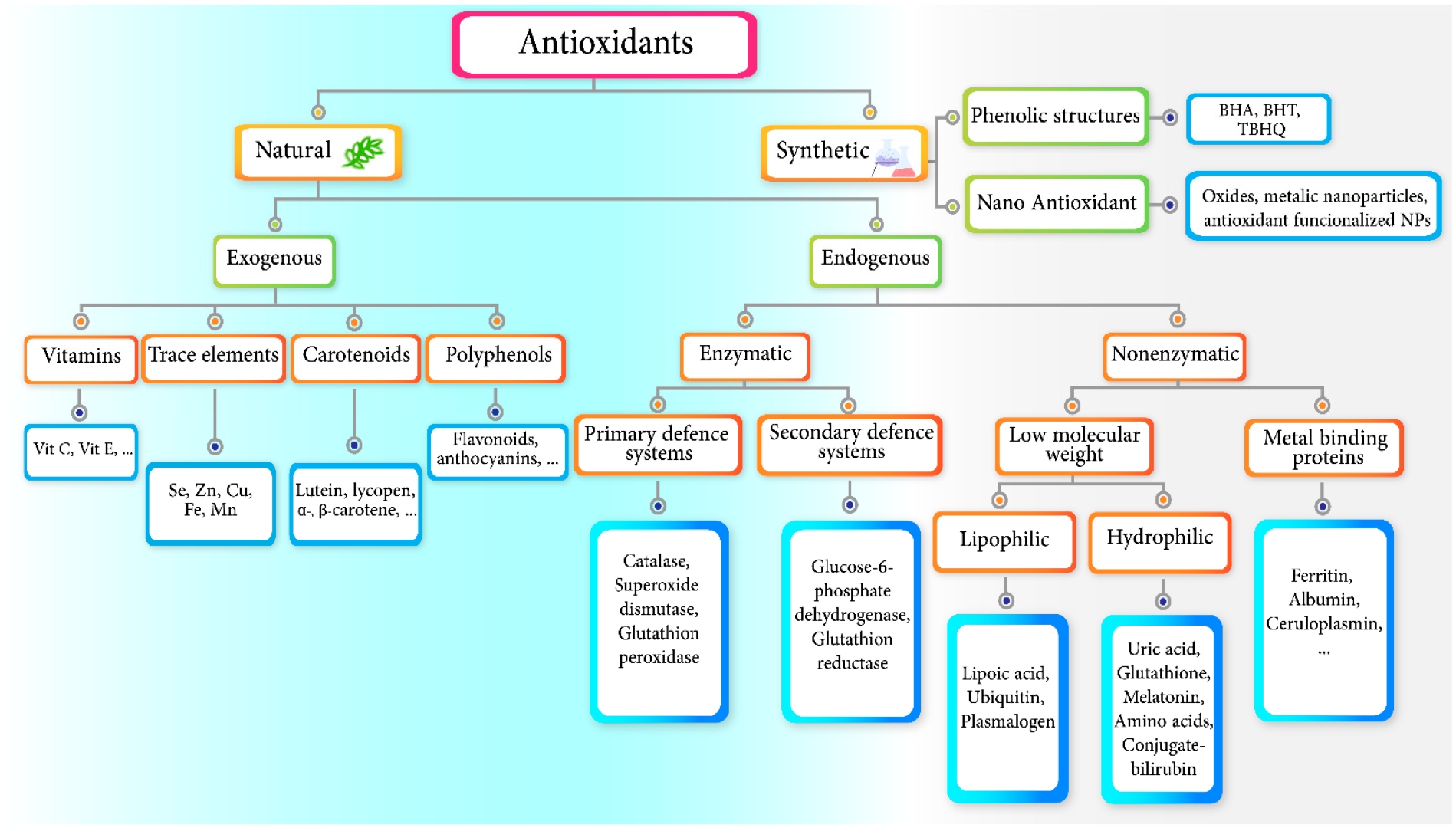 Antioxidants 12 00594 g001 Antioxidants 12 00594 g001