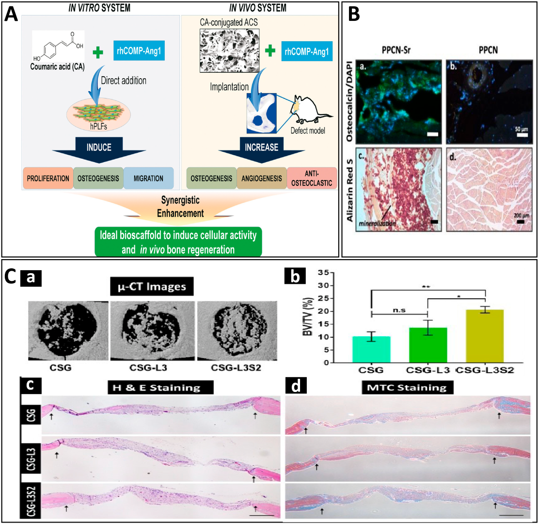 Antioxidants 12 00594 g002 Antioxidants 12 00594 g002