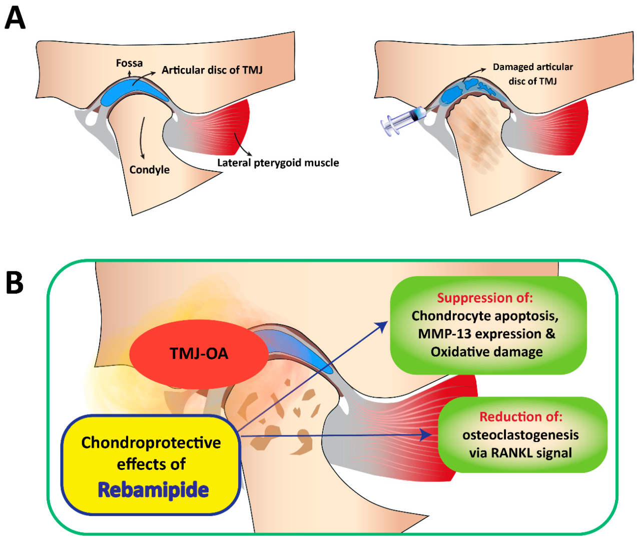 Antioxidants 12 00594 g007 Antioxidants 12 00594 g007