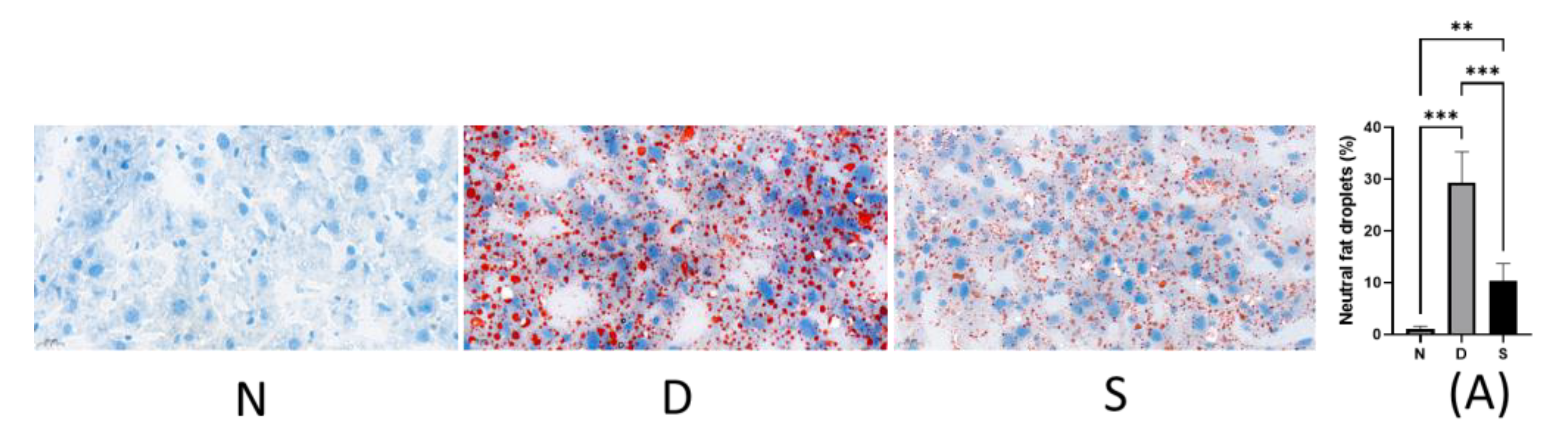 Antioxidants 12 00595 g002 Antioxidants 12 00595 g002