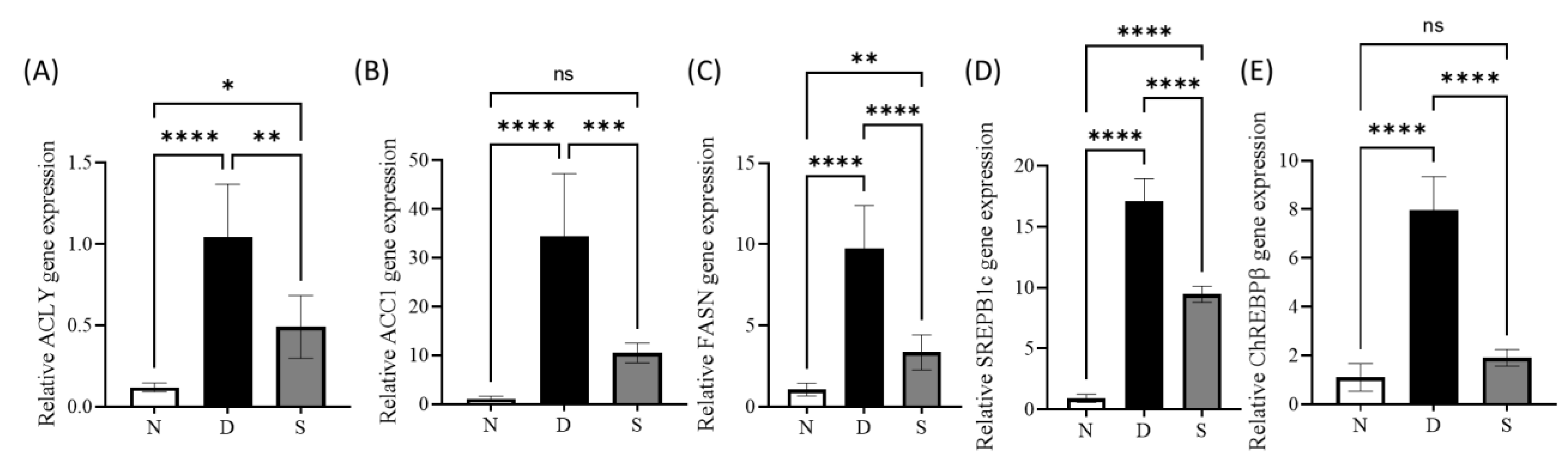 Antioxidants 12 00595 g003 Antioxidants 12 00595 g003