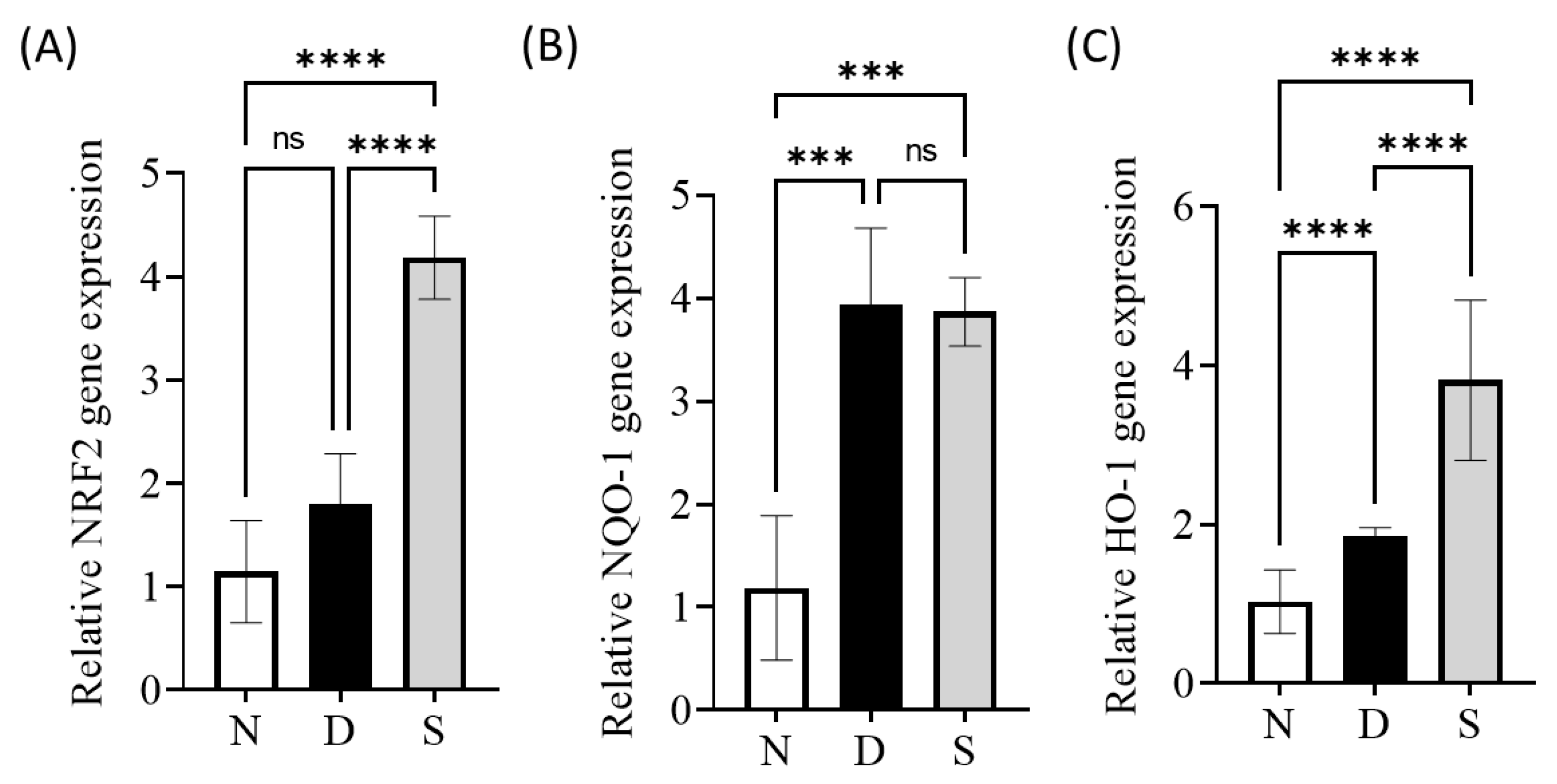 Antioxidants 12 00595 g005 Antioxidants 12 00595 g005