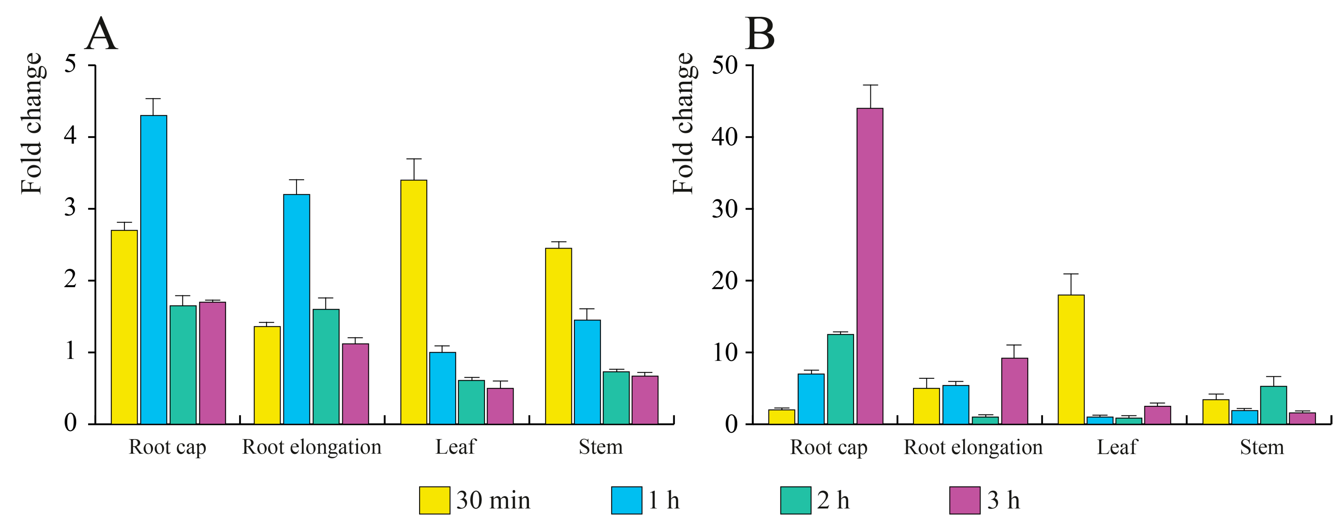 Antioxidants 12 00600 g005
