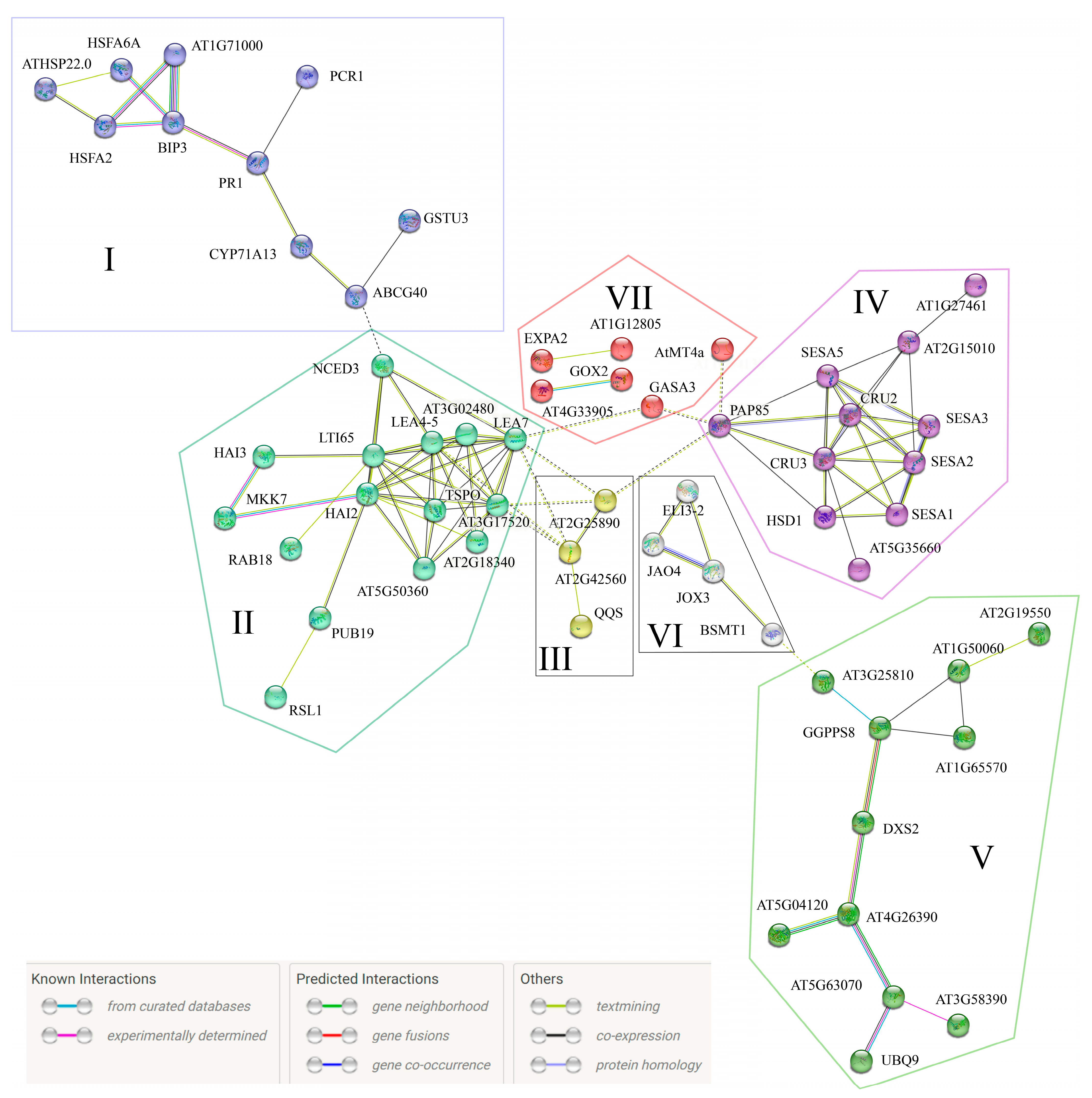 Antioxidants 12 00600 g007