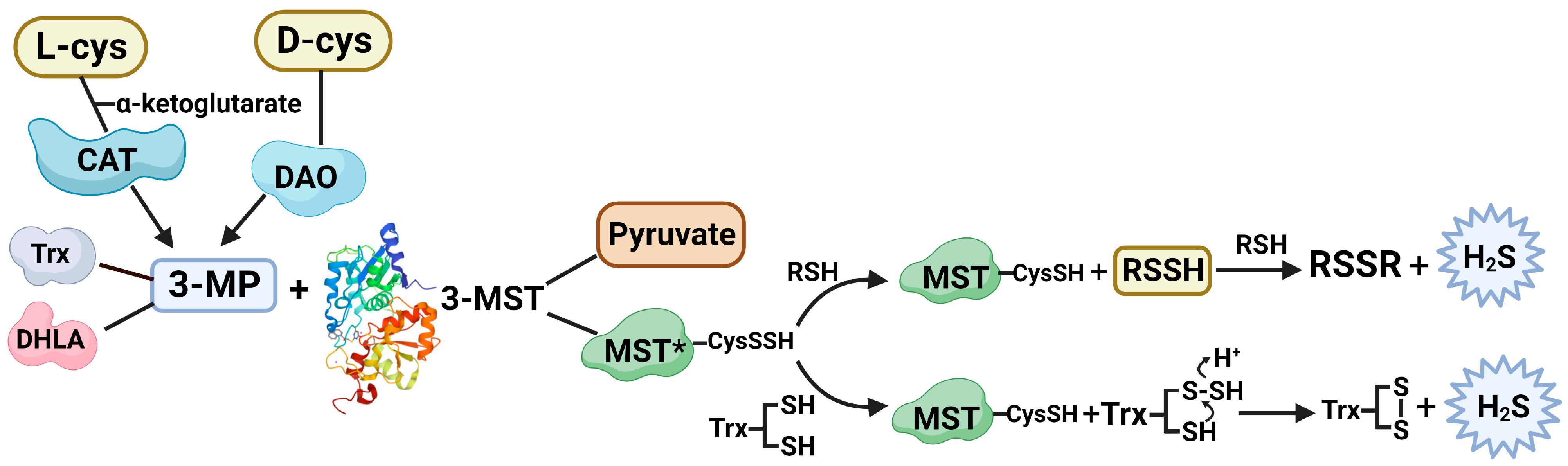 Antioxidants 12 00603 g001
