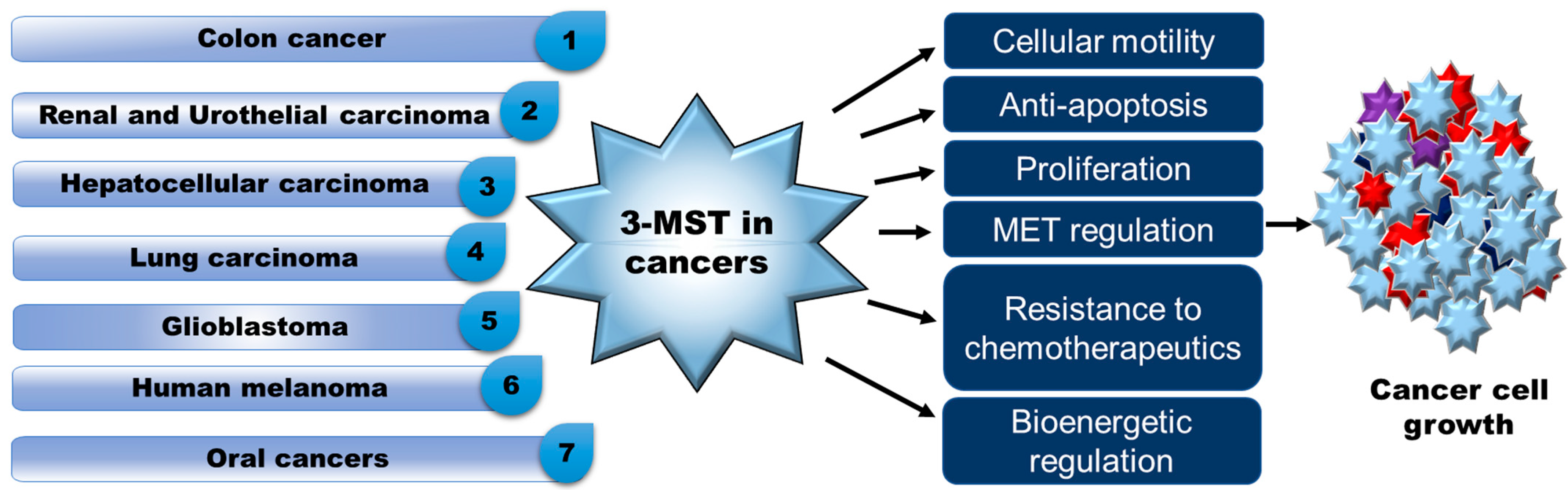 antioxidants-free-full-text-role-of-3-mercaptopyruvate