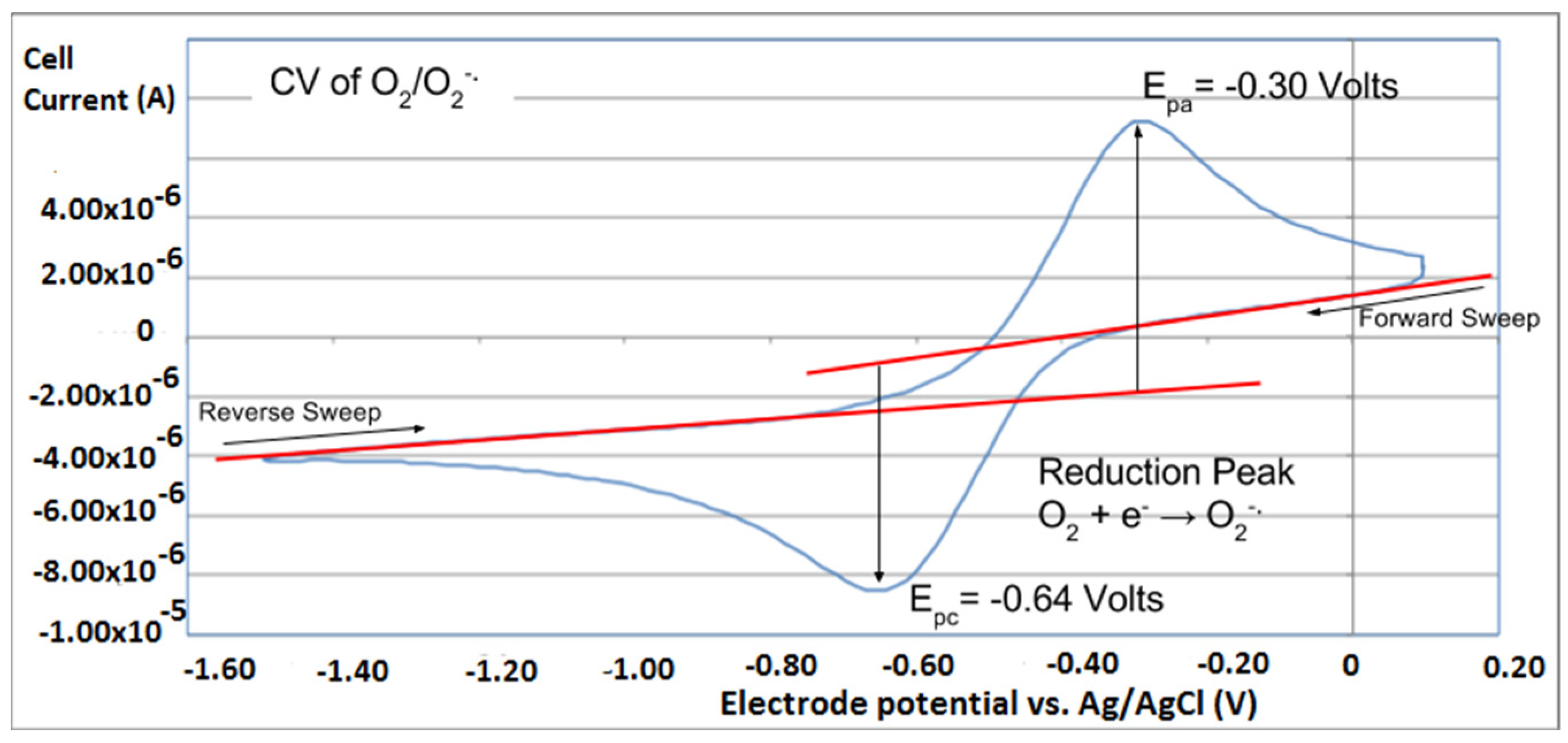 Antioxidants 12 00607 g012 Antioxidants 12 00607 g012
