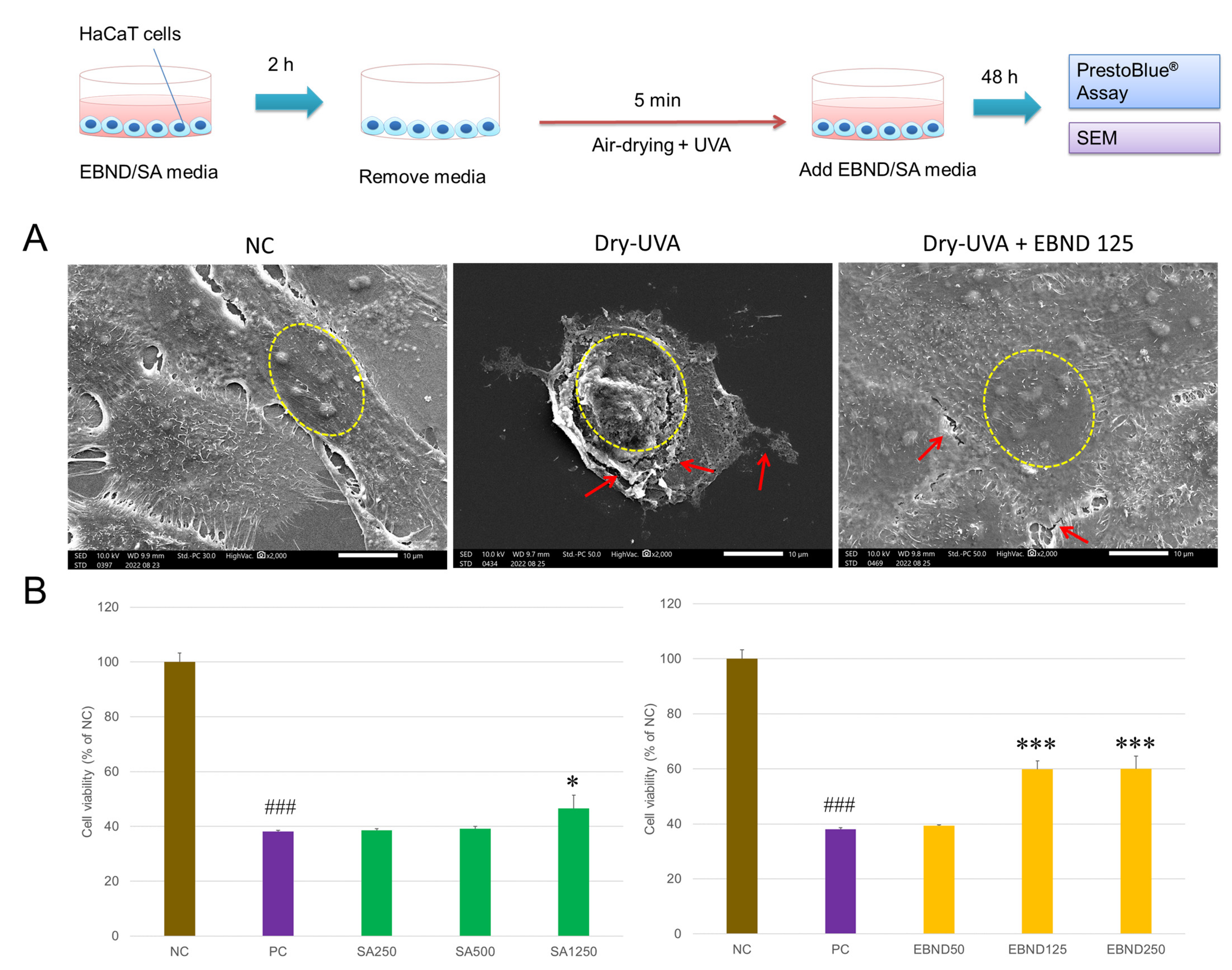 Antioxidants 12 00609 g002 Antioxidants 12 00609 g002
