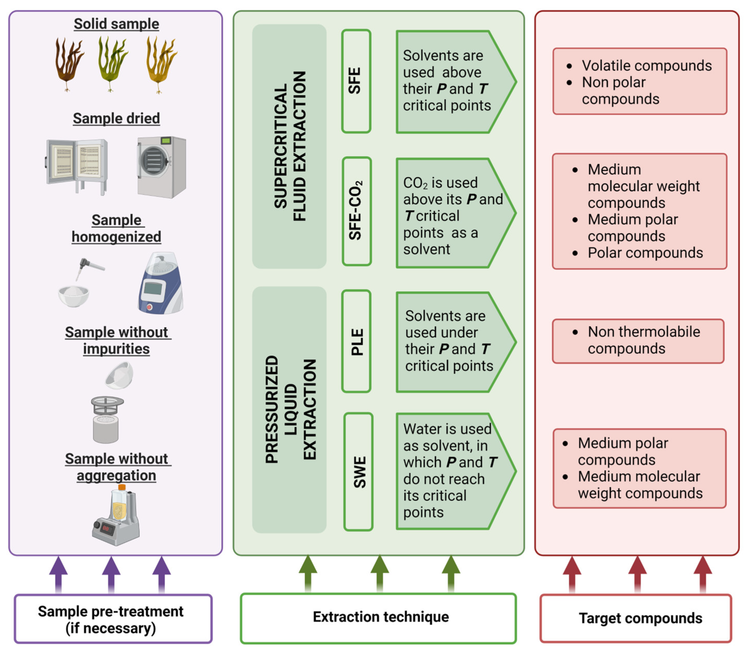 Antioxidants | Free Full-Text | Pressurized Liquid Extraction for the ...