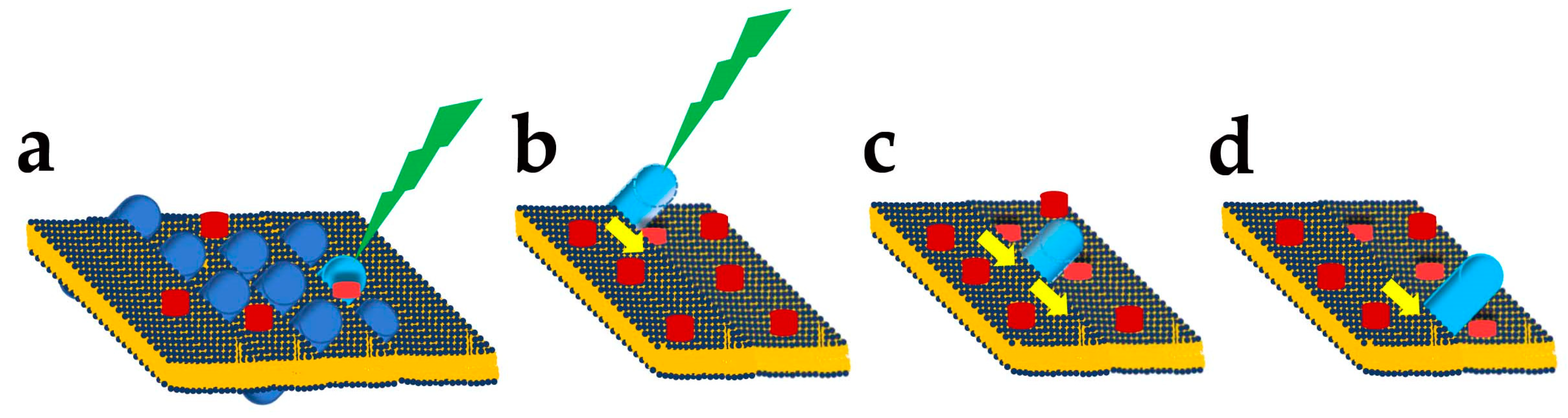 Antioxidants 12 00617 g003 Antioxidants 12 00617 g003