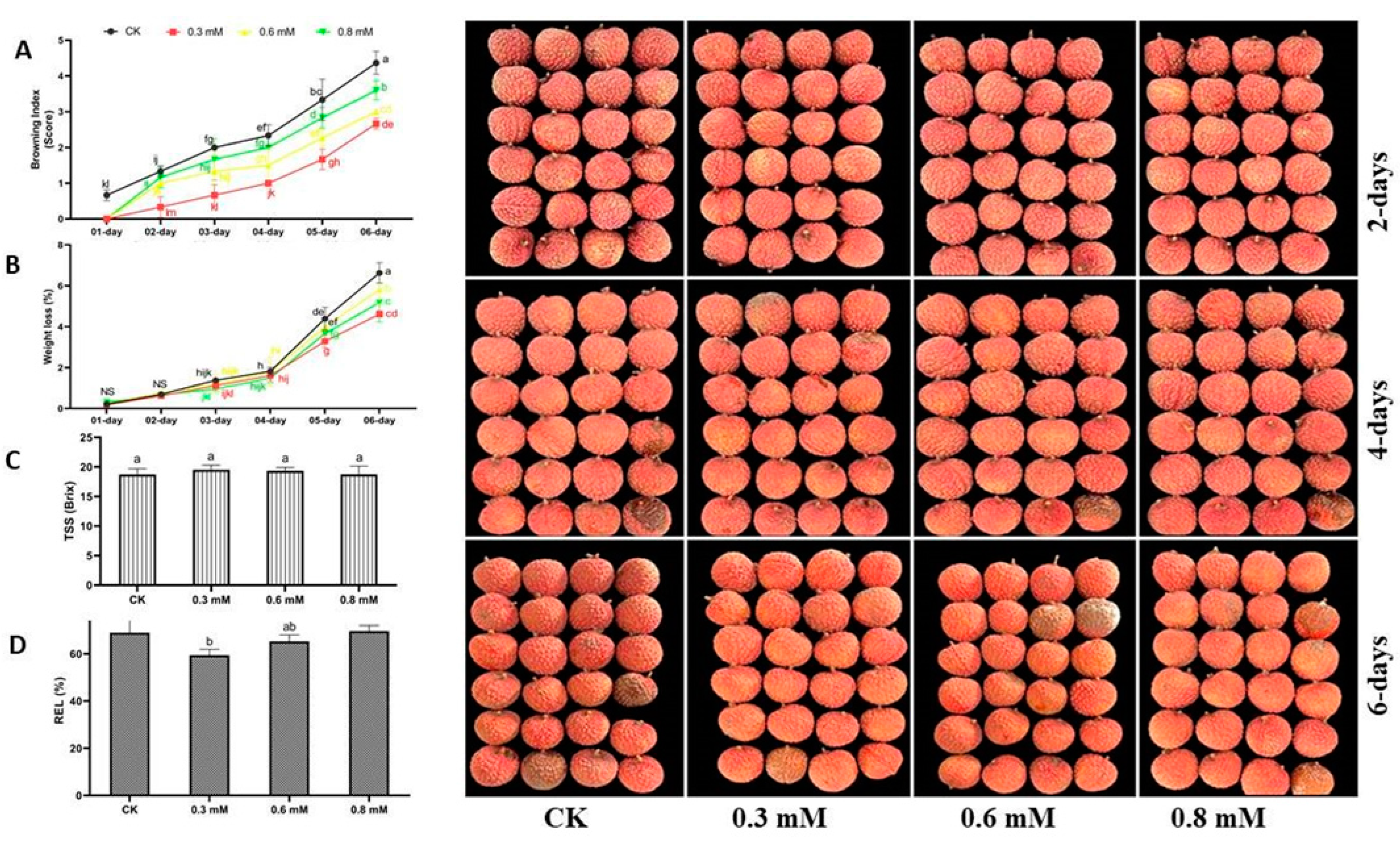 Antioxidants 12 00618 g003
