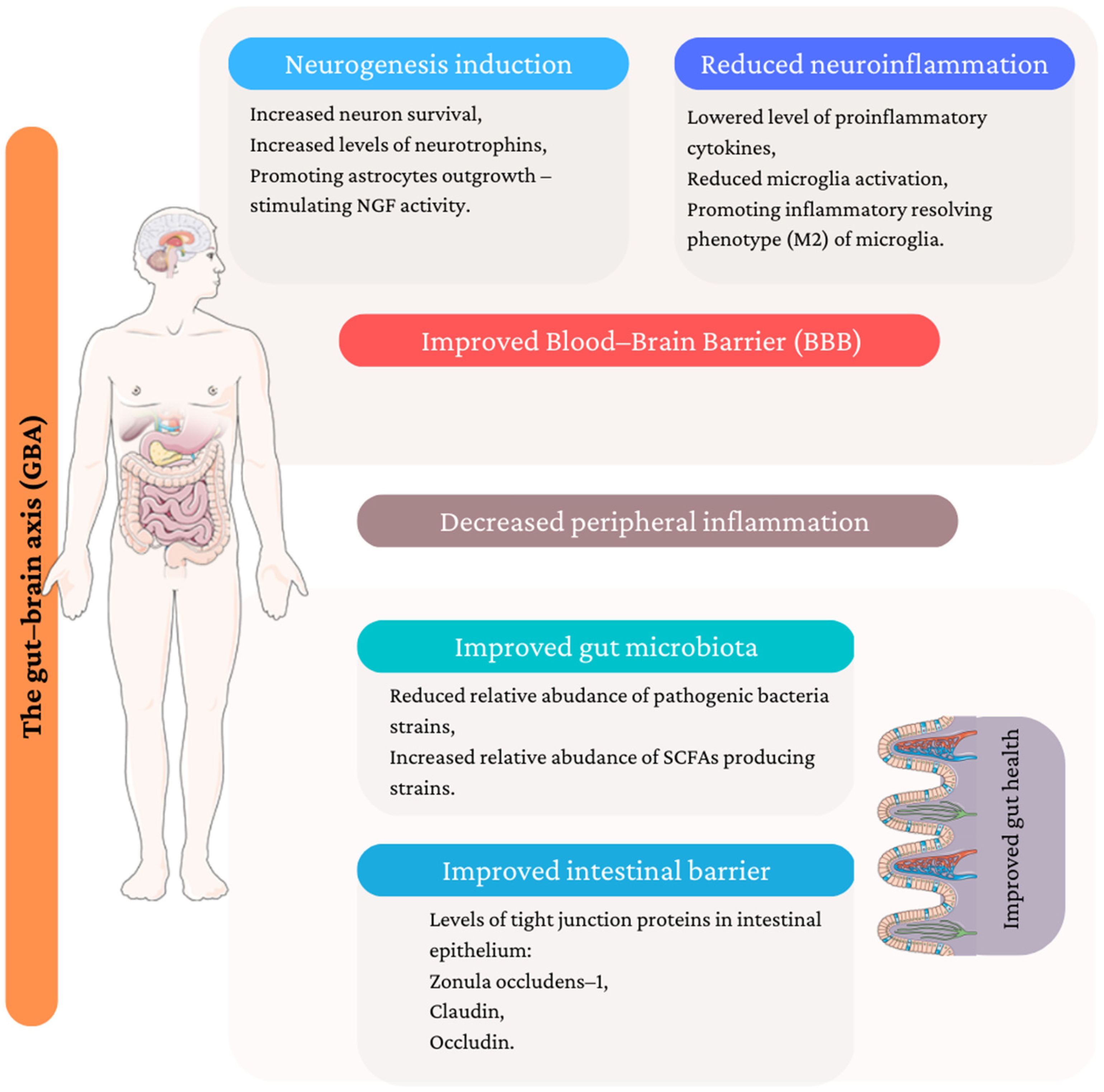 Antioxidants 12 00623 g002