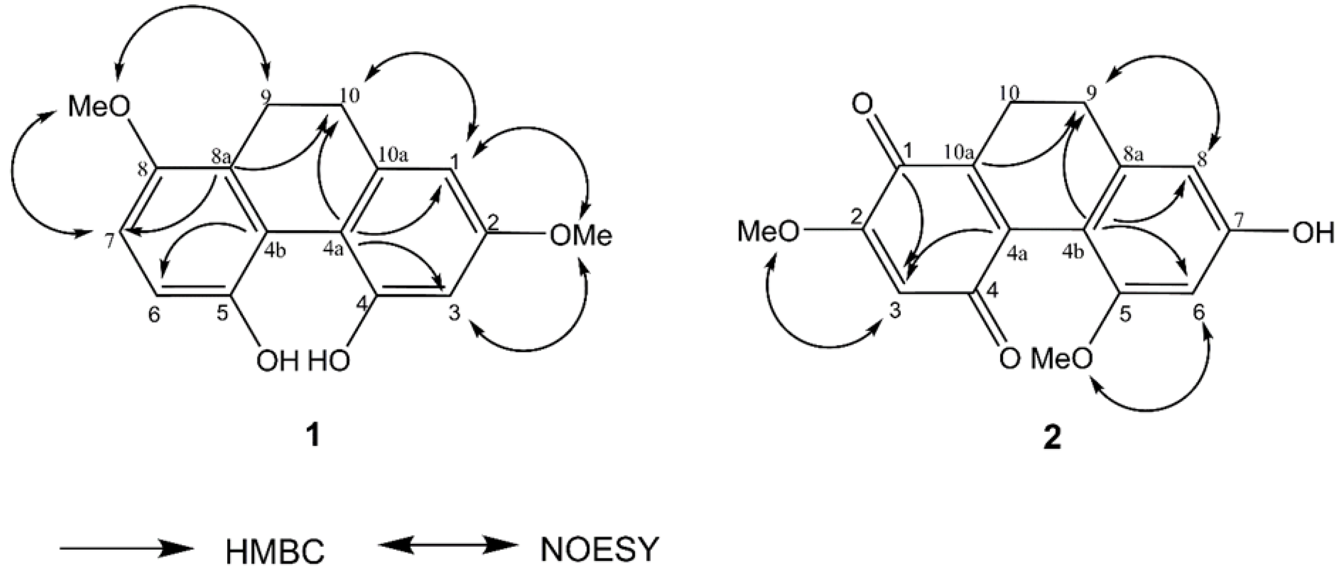 Antioxidants 12 00624 g002 Antioxidants 12 00624 g002