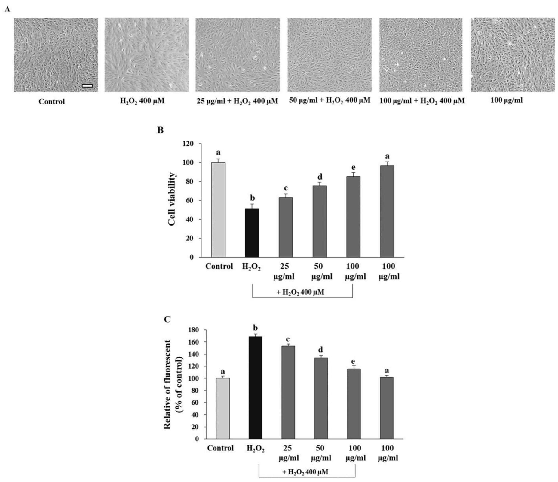 Antioxidants 12 00624 g006 Antioxidants 12 00624 g006