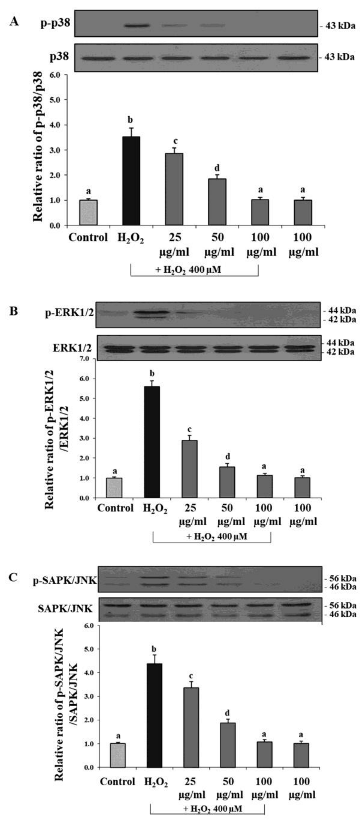 Antioxidants 12 00624 g007 Antioxidants 12 00624 g007