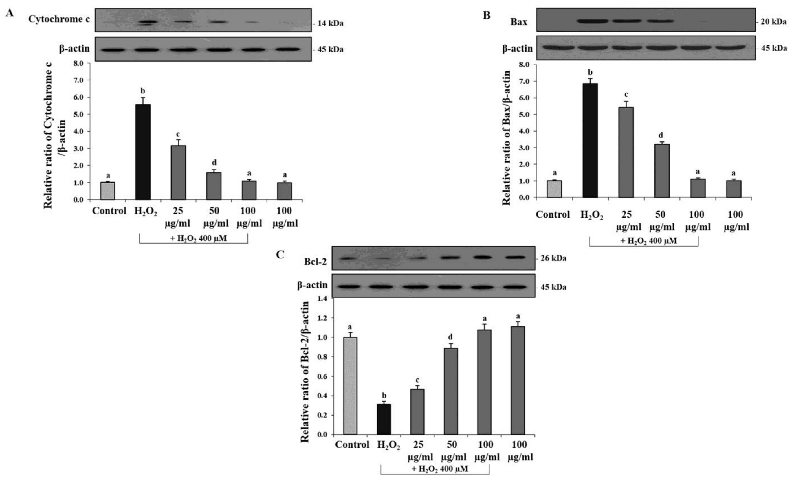 Antioxidants 12 00624 g008 Antioxidants 12 00624 g008