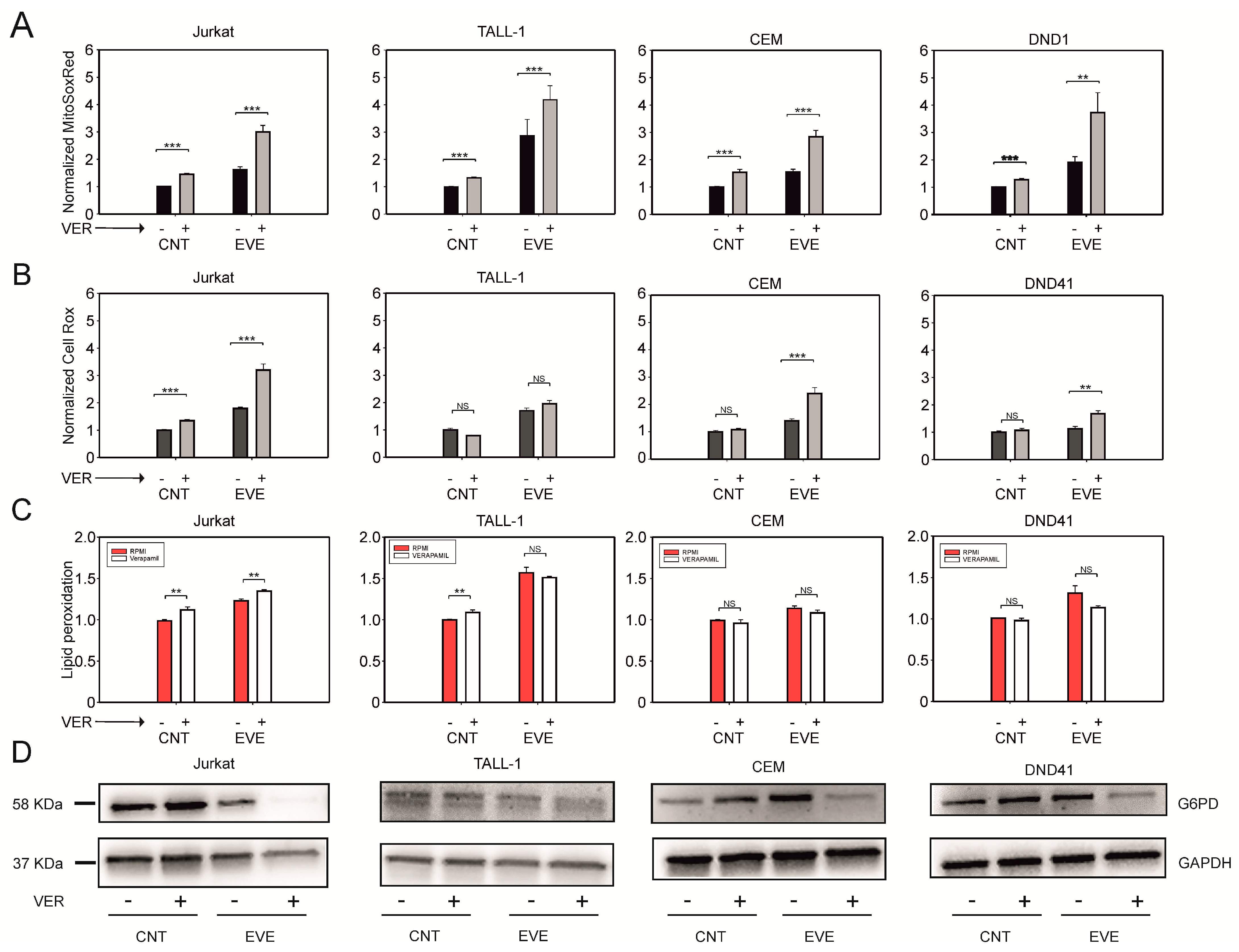 Antioxidants 12 00625 g004 Antioxidants 12 00625 g004