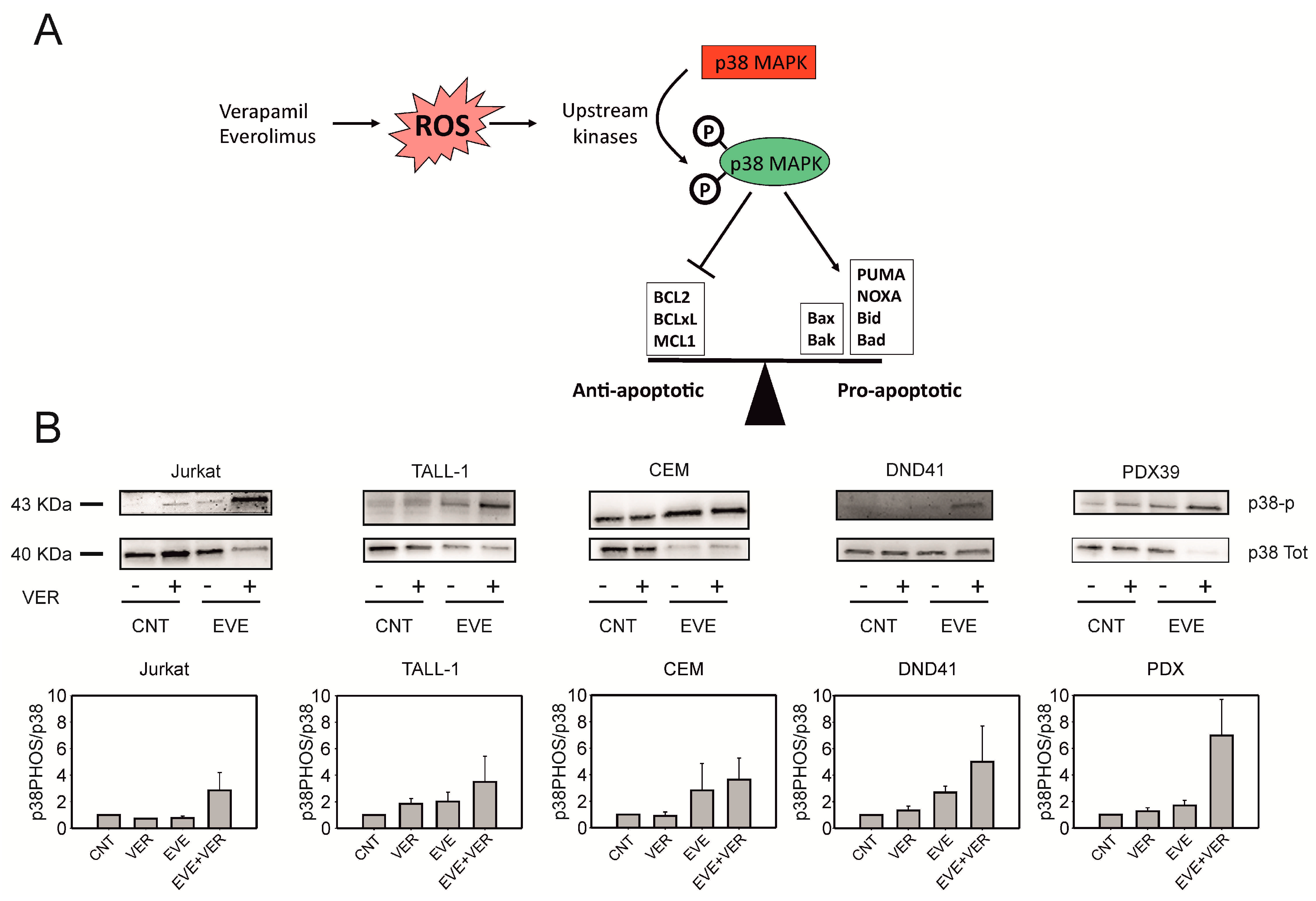 Antioxidants 12 00625 g005 Antioxidants 12 00625 g005