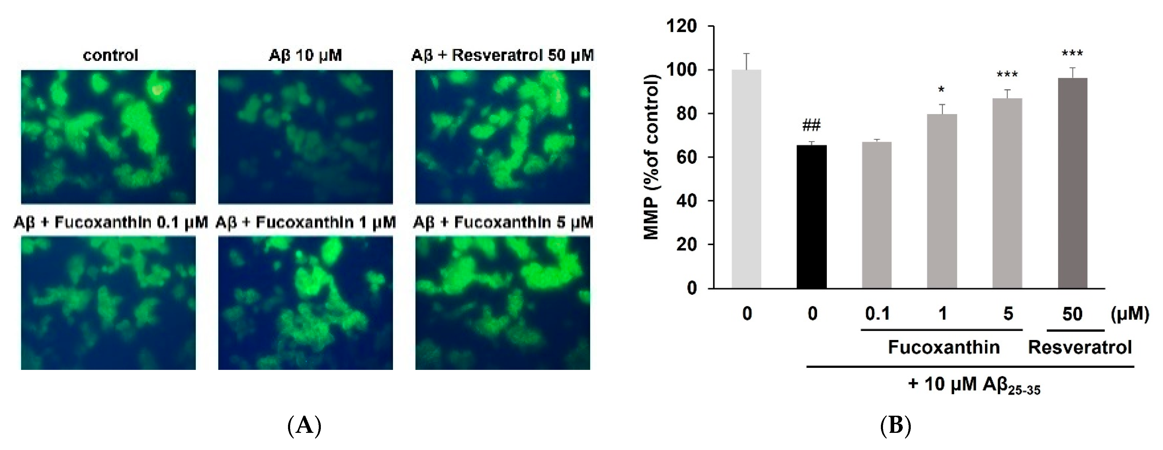Antioxidants 12 00629 g002a Antioxidants 12 00629 g002a