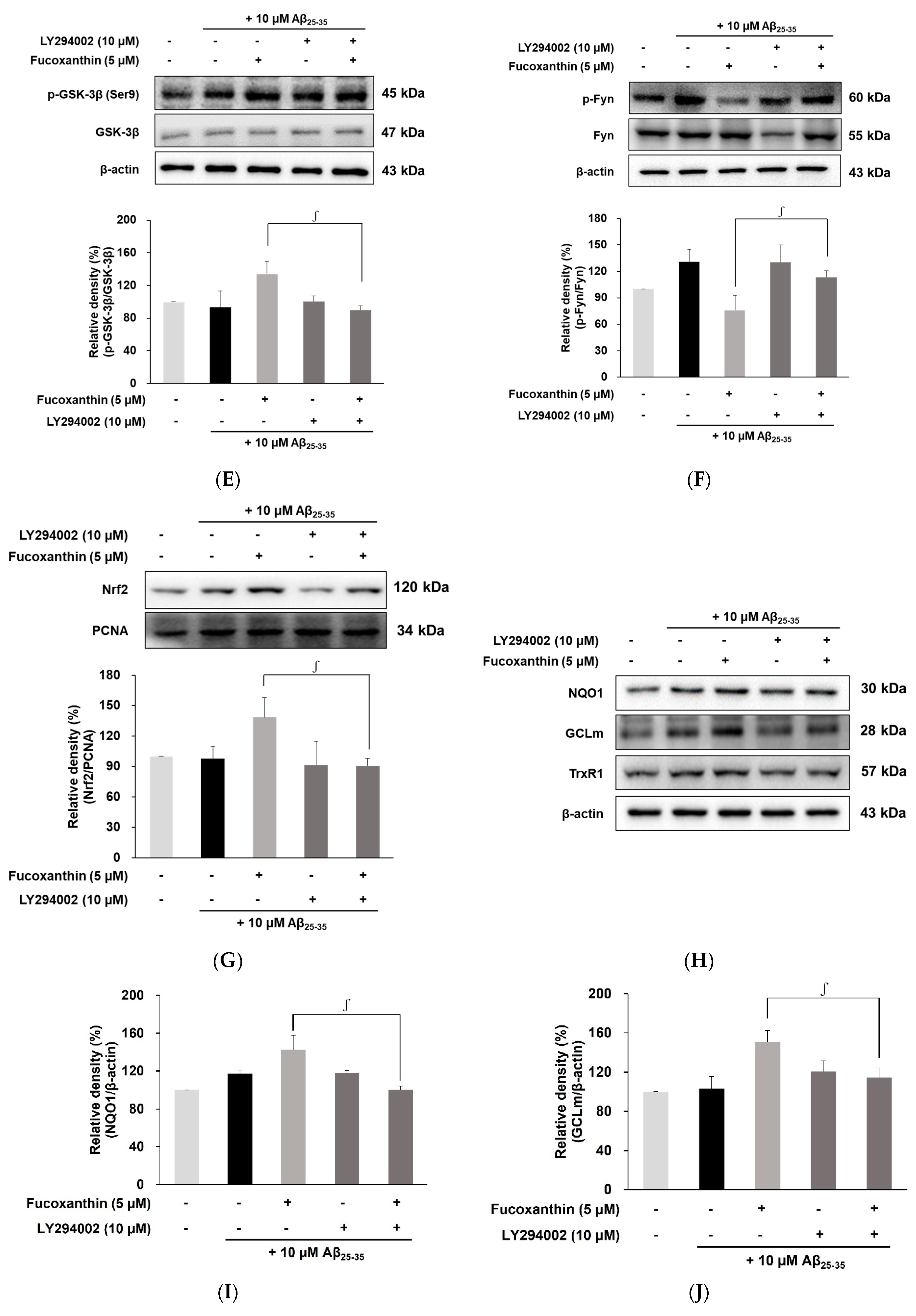Antioxidants 12 00629 g004b Antioxidants 12 00629 g004b