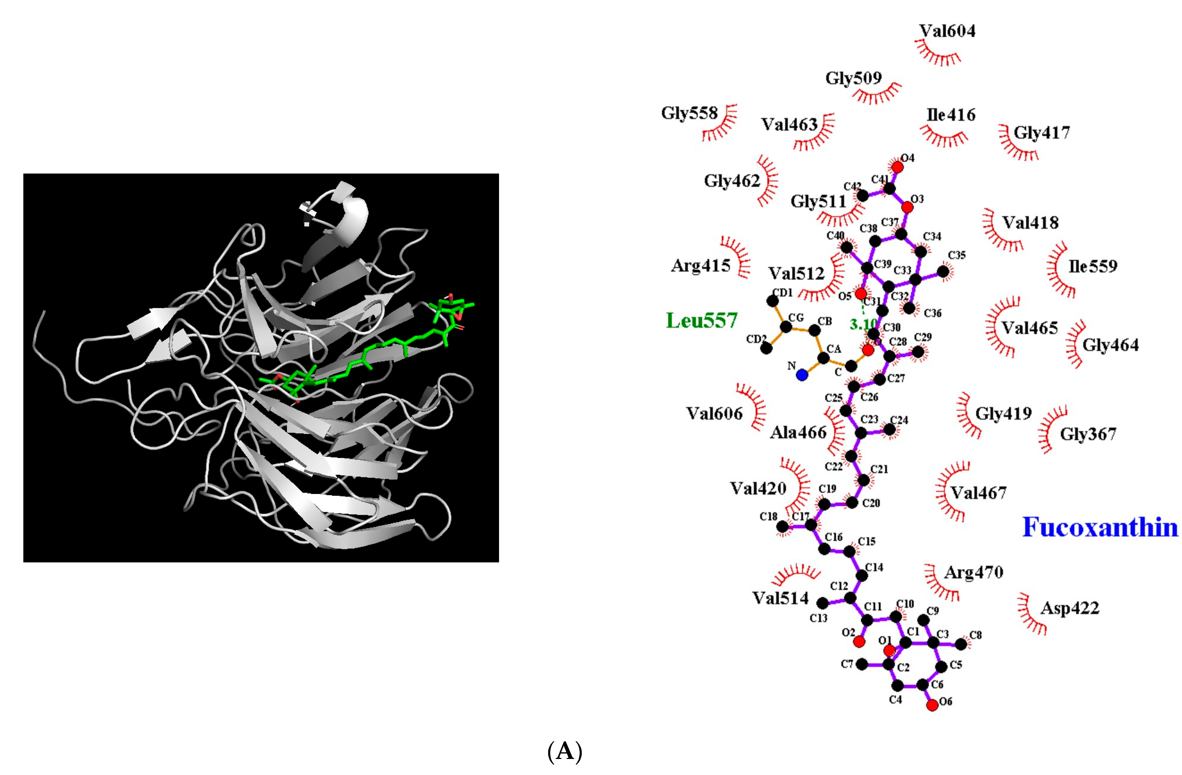Antioxidants 12 00629 g005a Antioxidants 12 00629 g005a