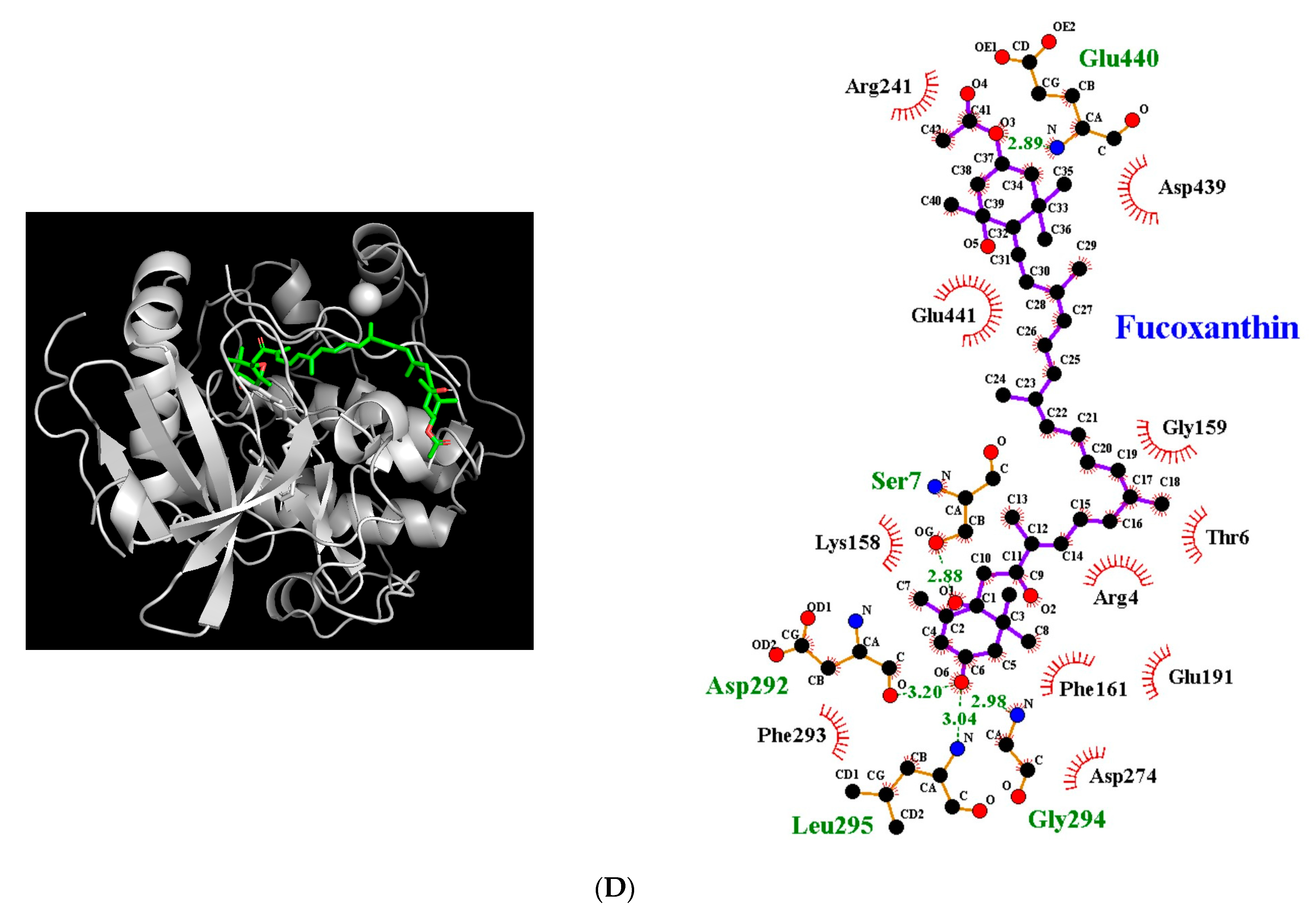 Antioxidants 12 00629 g005c Antioxidants 12 00629 g005c