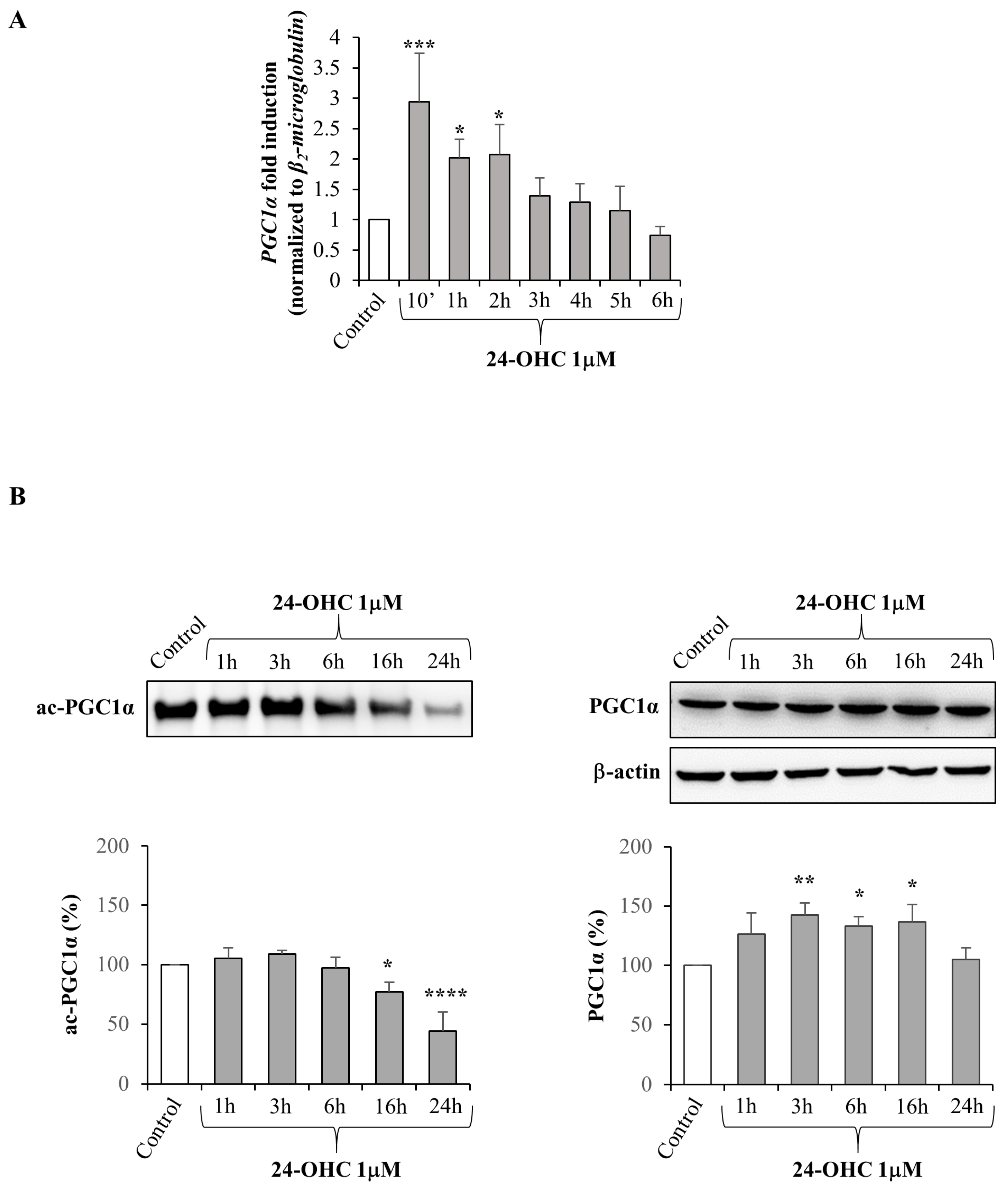 Antioxidants 12 00631 g001 Antioxidants 12 00631 g001